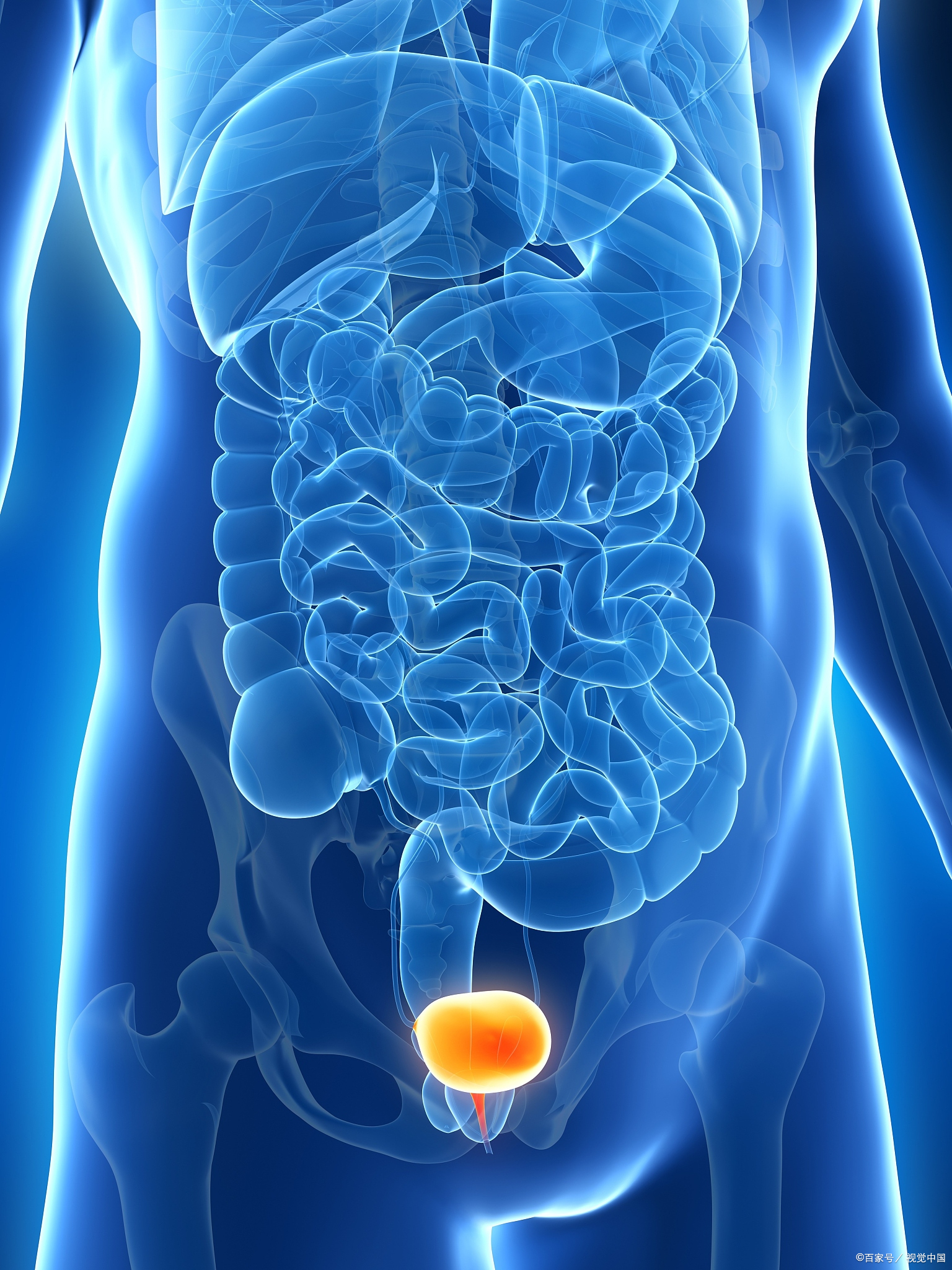 膀胱灌注,一个星期一次吗?