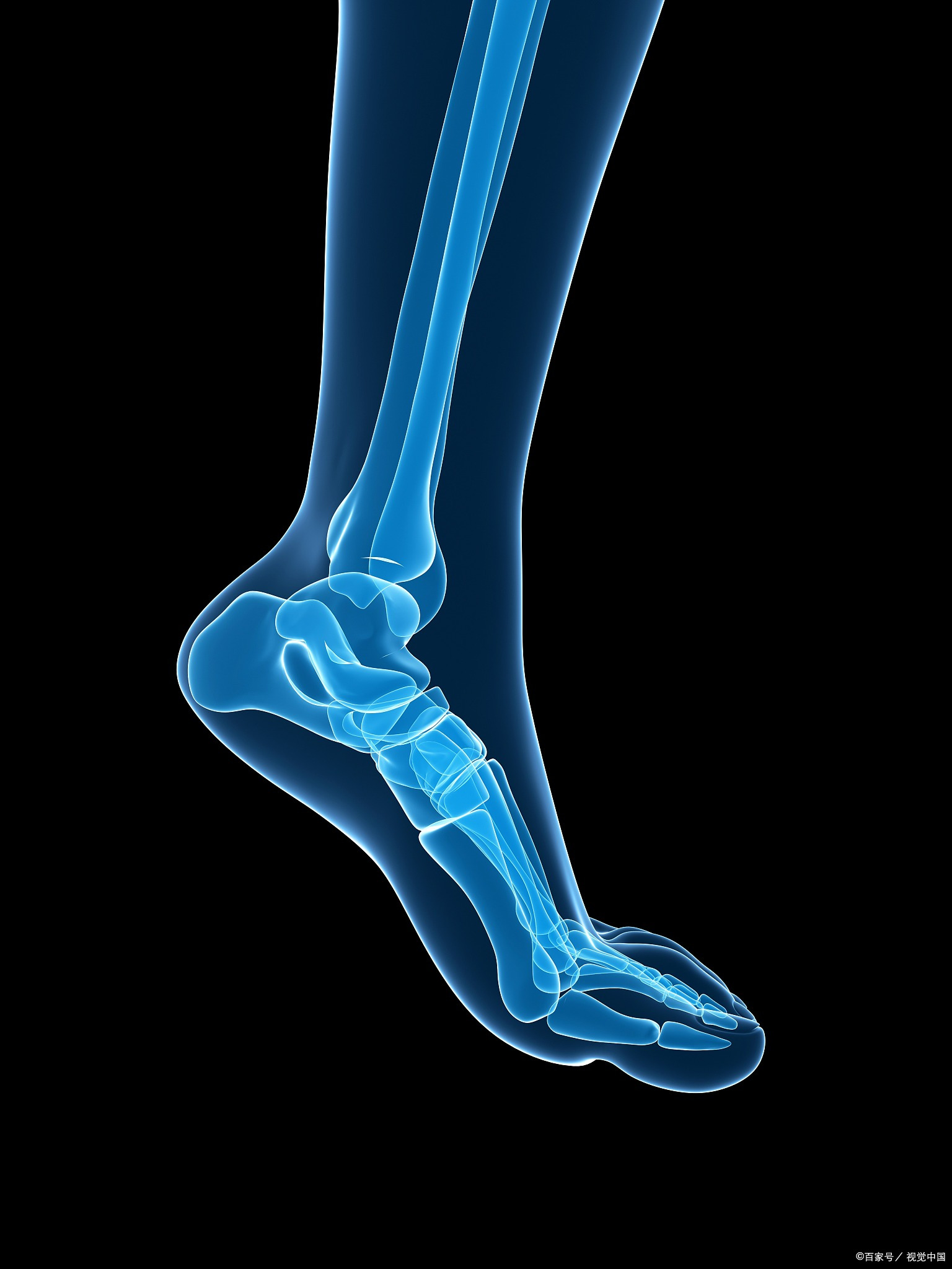 这些急救措施很关键 踝关节是人体重要的承重关节,由胫骨,腓骨远端与