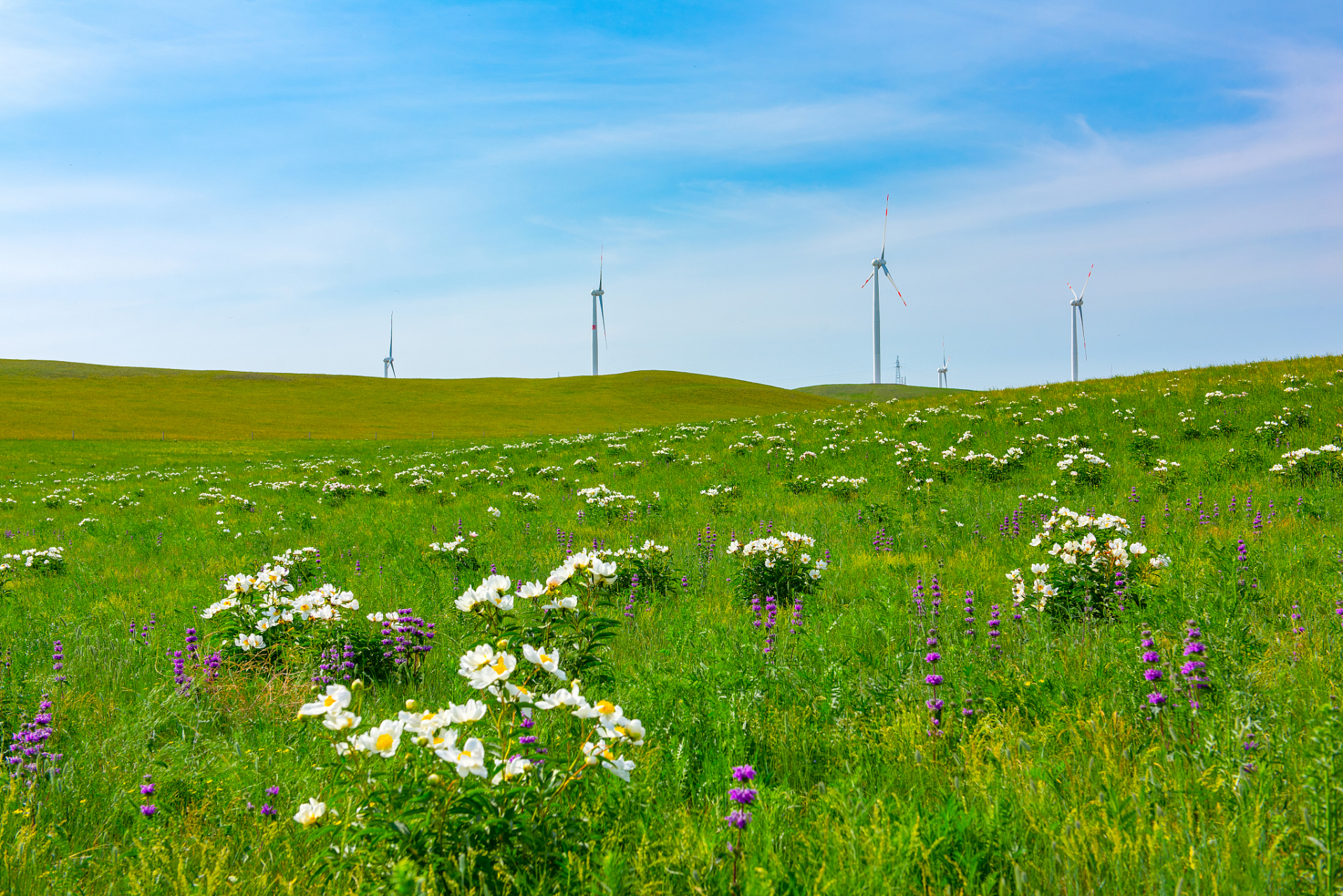 内蒙古旅行攻略:推荐呼和浩特的大草原,赤峰的红山文化,锡林郭勒的