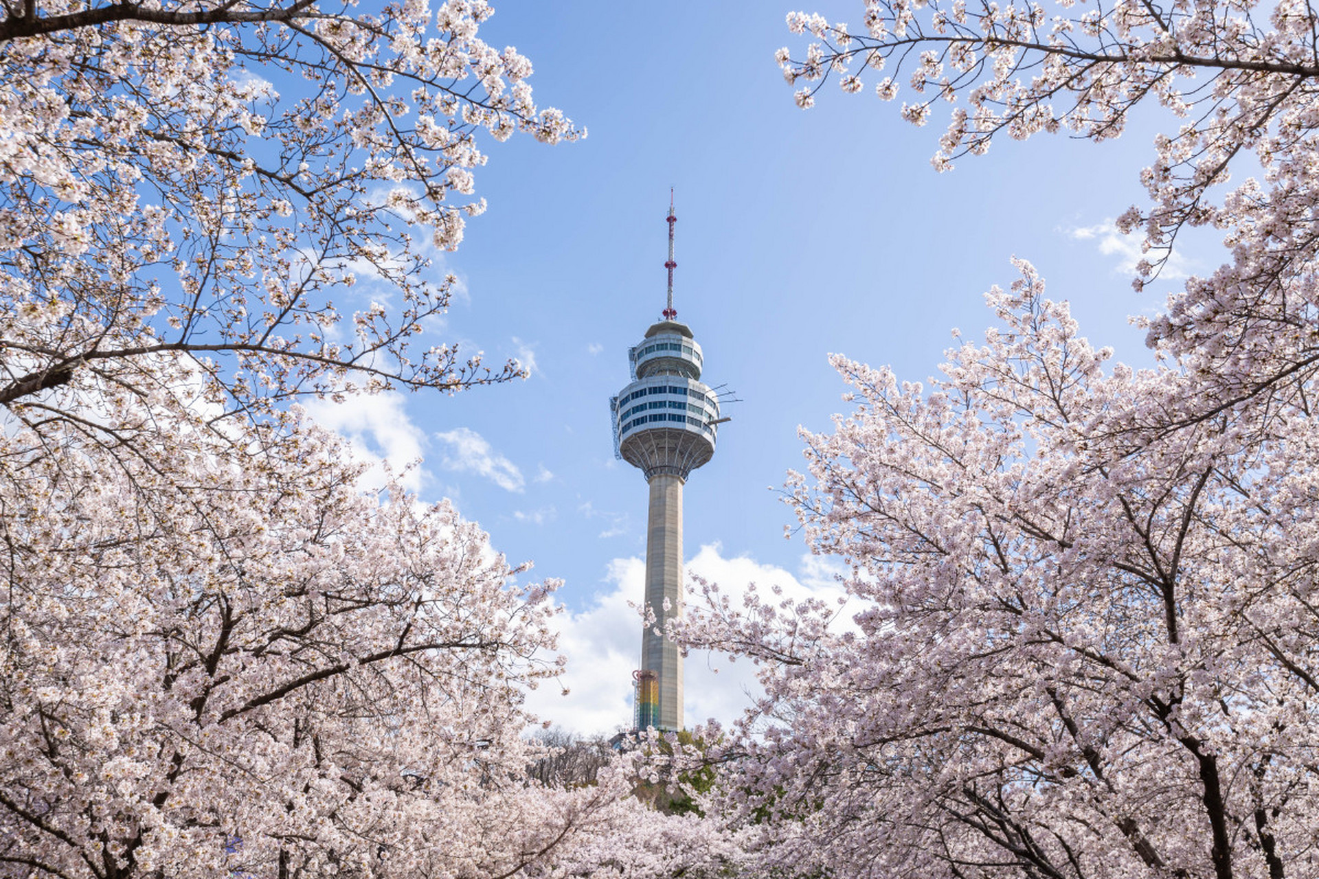 韩国拥有多样的旅游景点,首尔有景福宫,南山首尔塔等,济州岛以海滩和