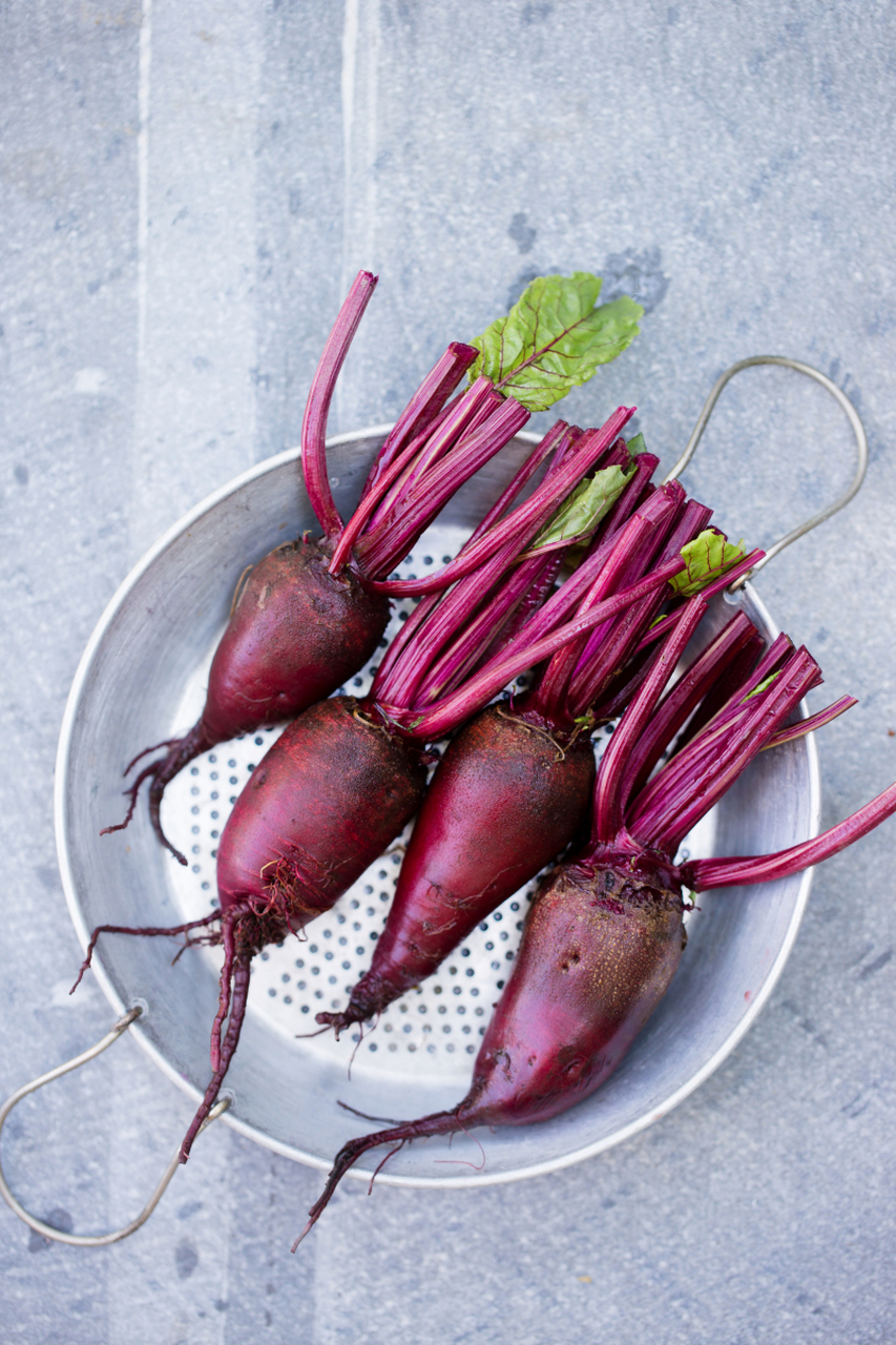农村所说的甜菜,其实并非指代我们日常餐桌上的某种蔬菜,而是一种专门