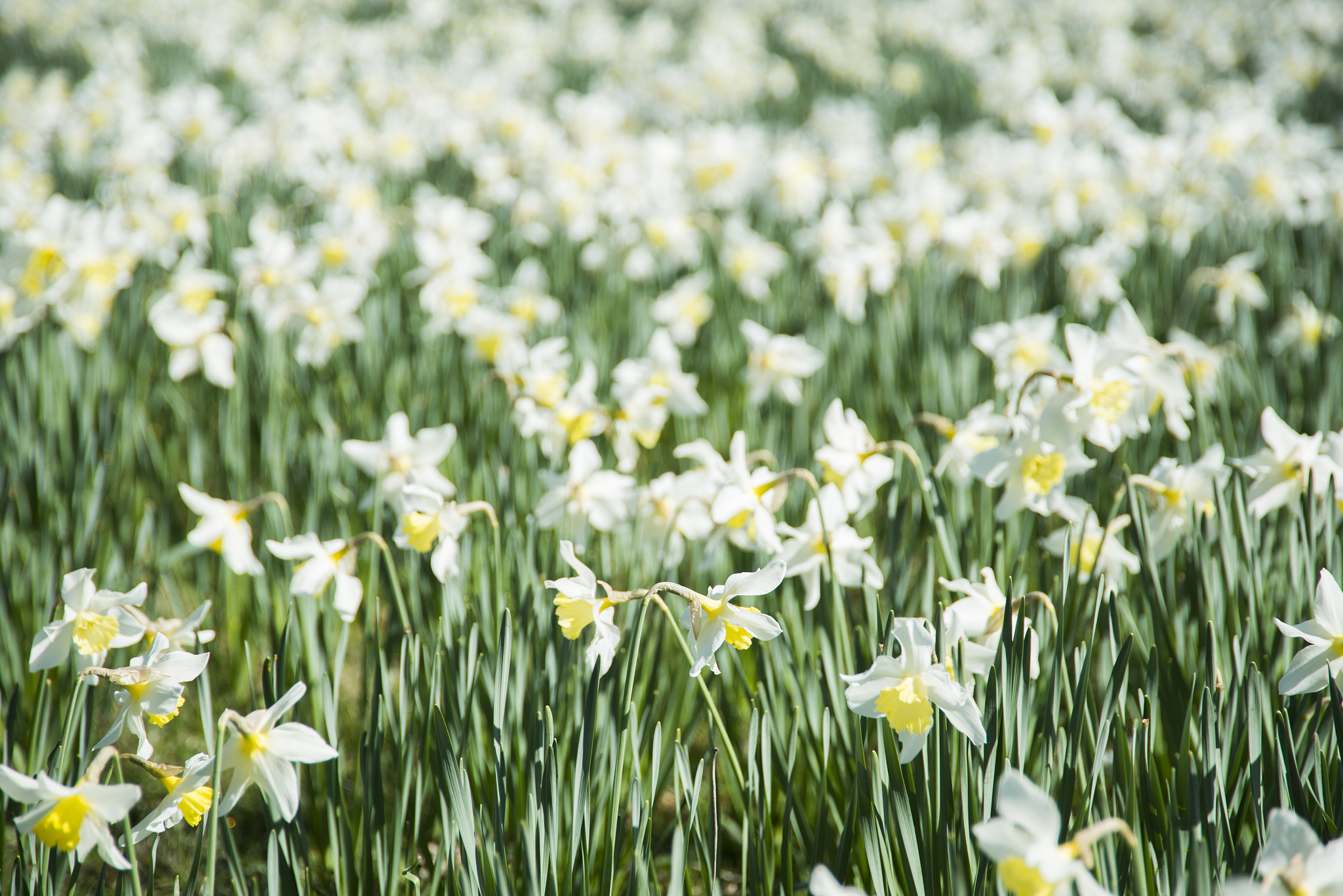 林知夏江逾白(最新全文全集大结局)林知夏江逾白小说阅读笔趣阁19