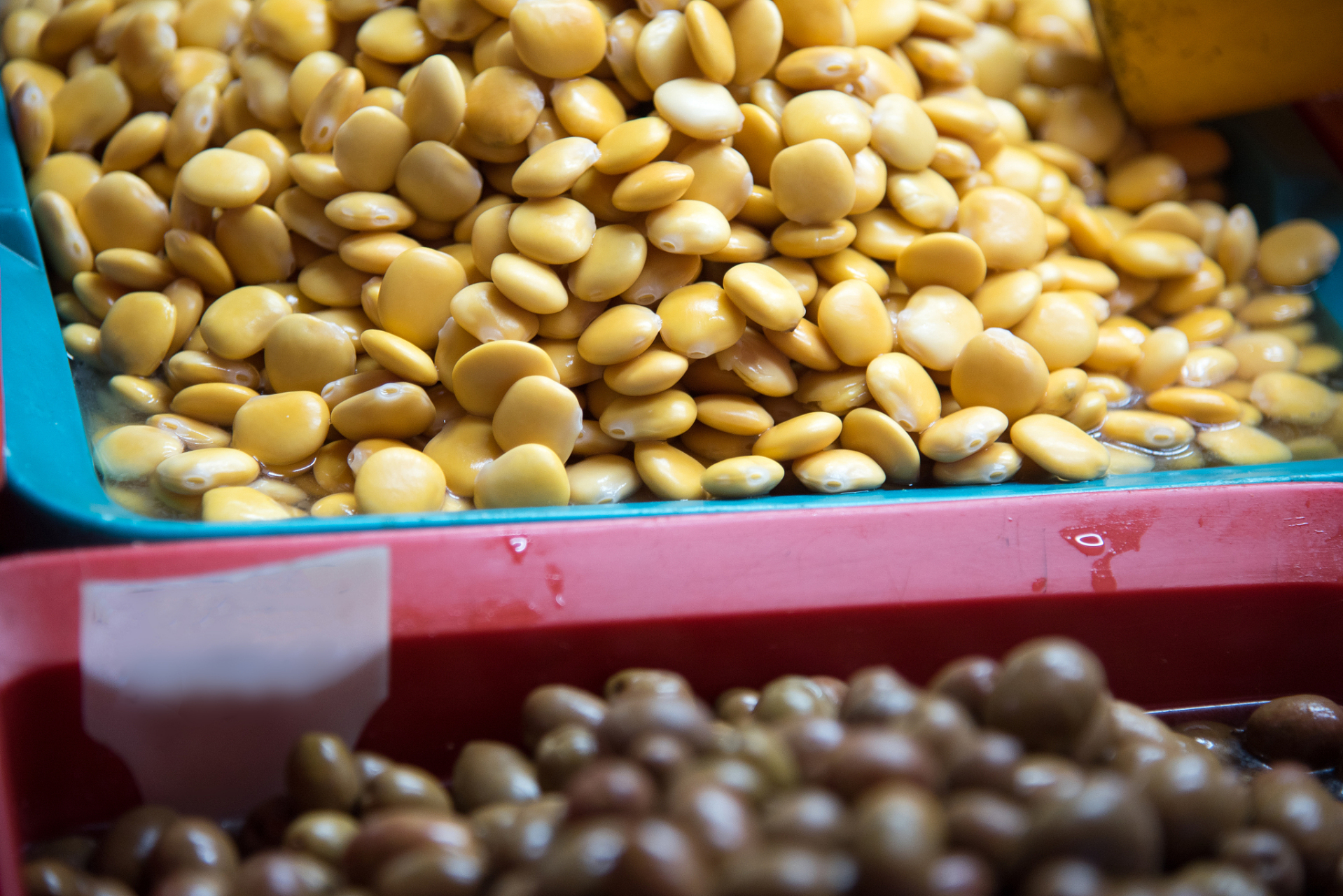 问:北方黄豆种植时间和技术?