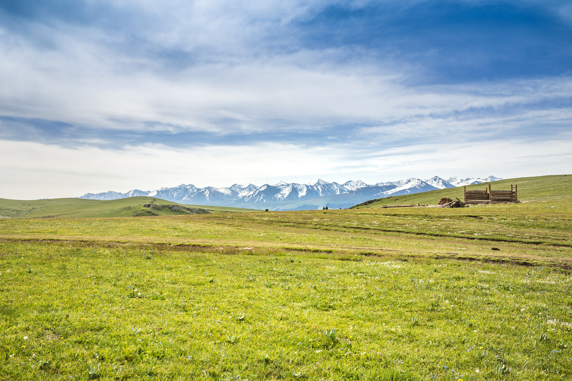 奇遇那拉提#那拉提巴里坤草原位于新疆阿勒泰山脈东南端,是新疆最
