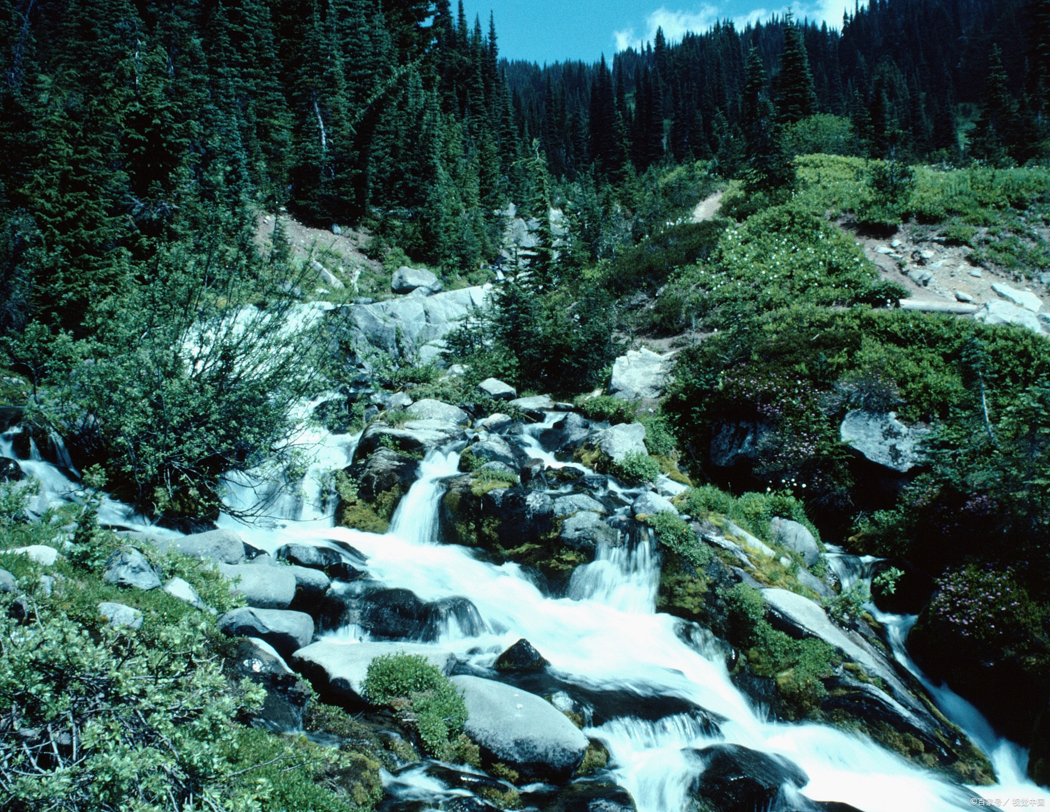 吐鲁沟国家森林公园:自然与人文的完美融合,感受大自然的魅力