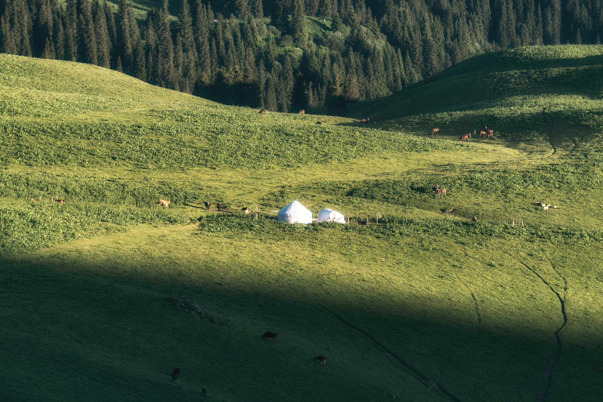 巩留县,新疆伊犁的瑰宝之地!库尔德宁,野核桃沟等景点美不胜收.