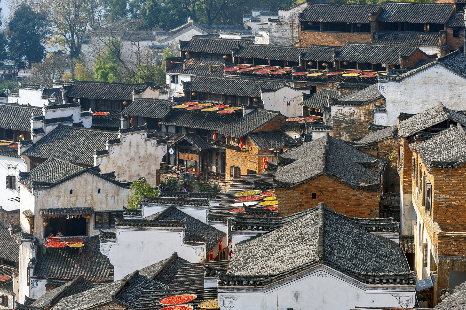 江西婺源,一个被誉为"我国最美乡村"的地方.