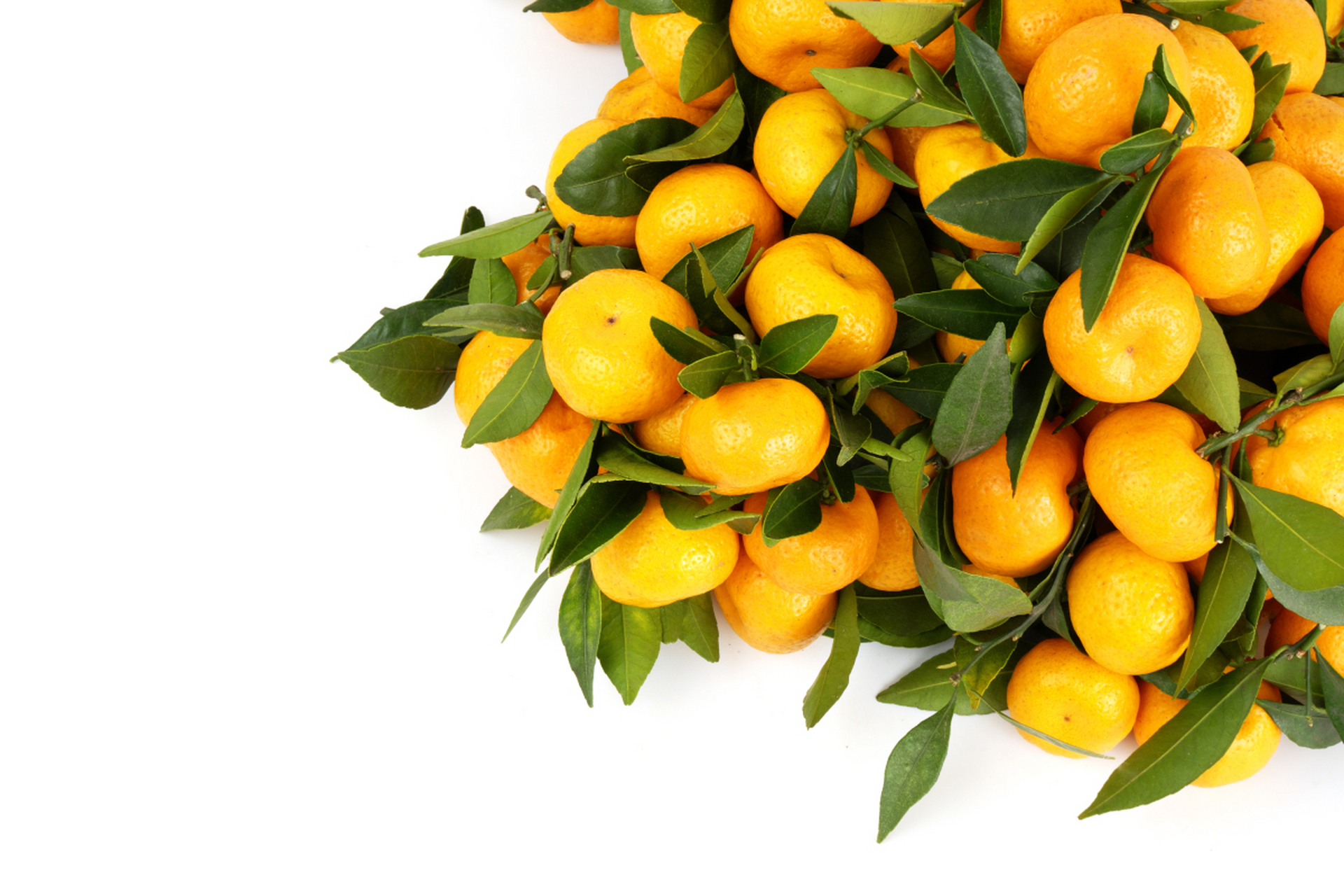 黄美人柑橘是一种金黄色的柑橘品种,具有观赏和食用双重价值.