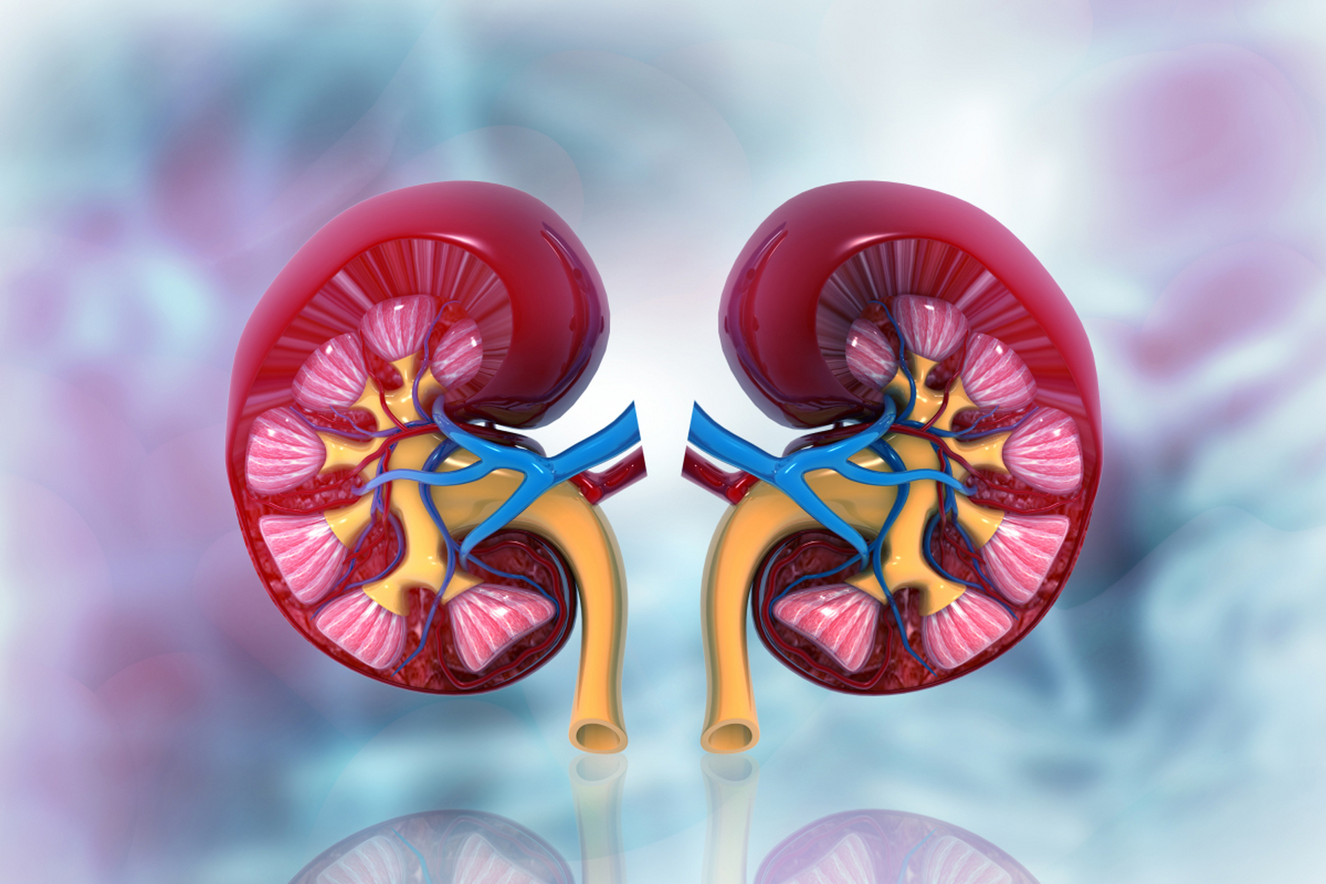 用"鸡血藤"治疗肝,肾囊肿  我想说:医德如镜,一目了然!