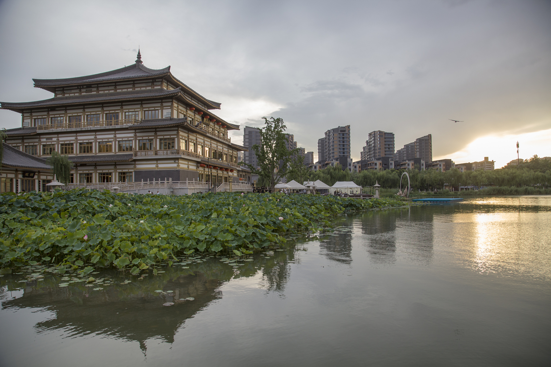 镜头里的春天# 西安曲江池,位于中国历史文化名城西安的东南部,是