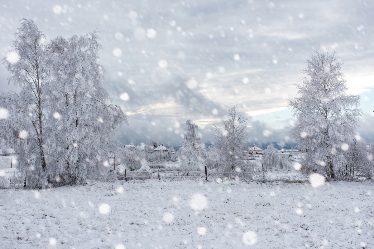 又下雪了心情图片