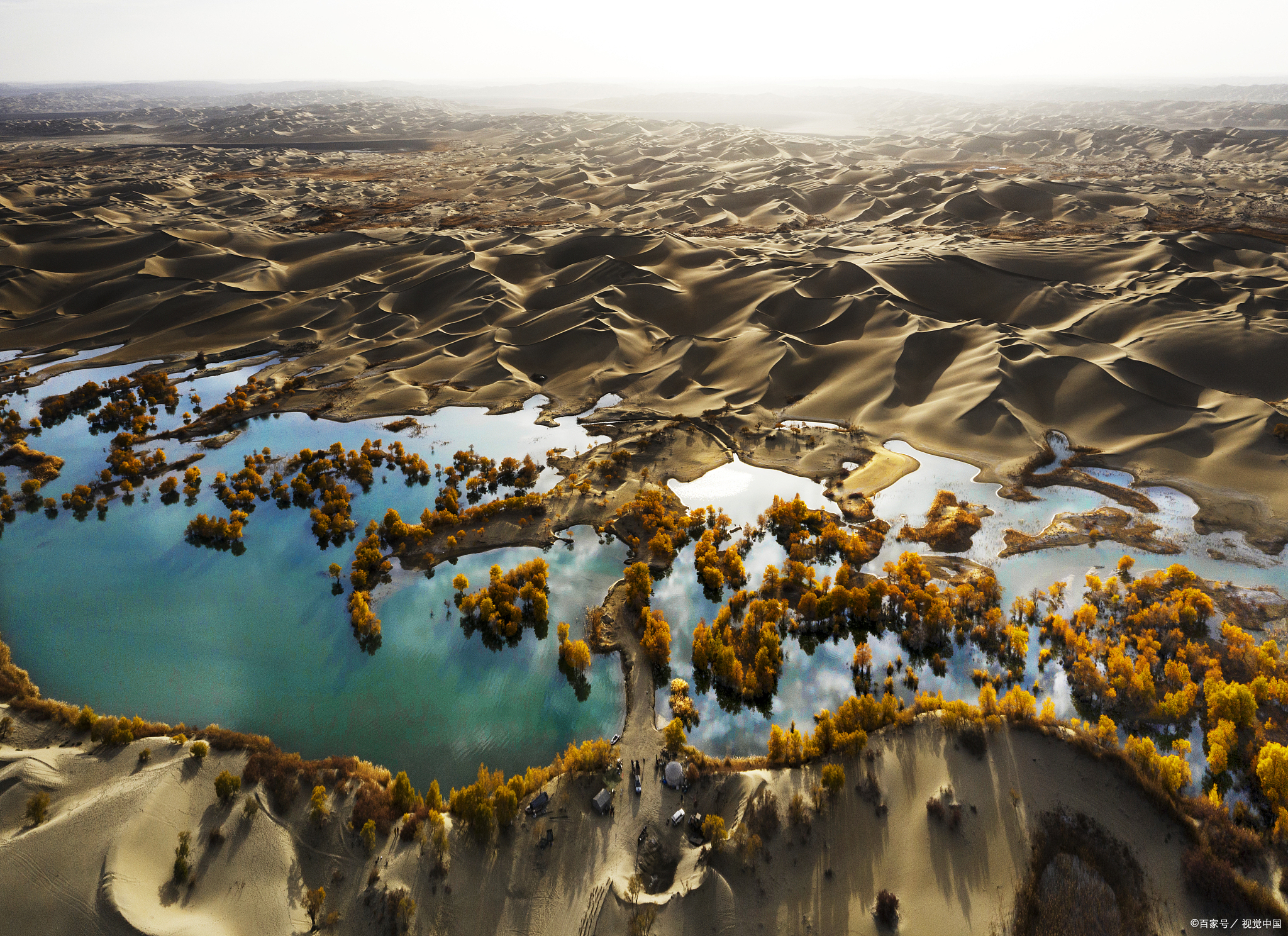 新疆当地口碑好的旅行社