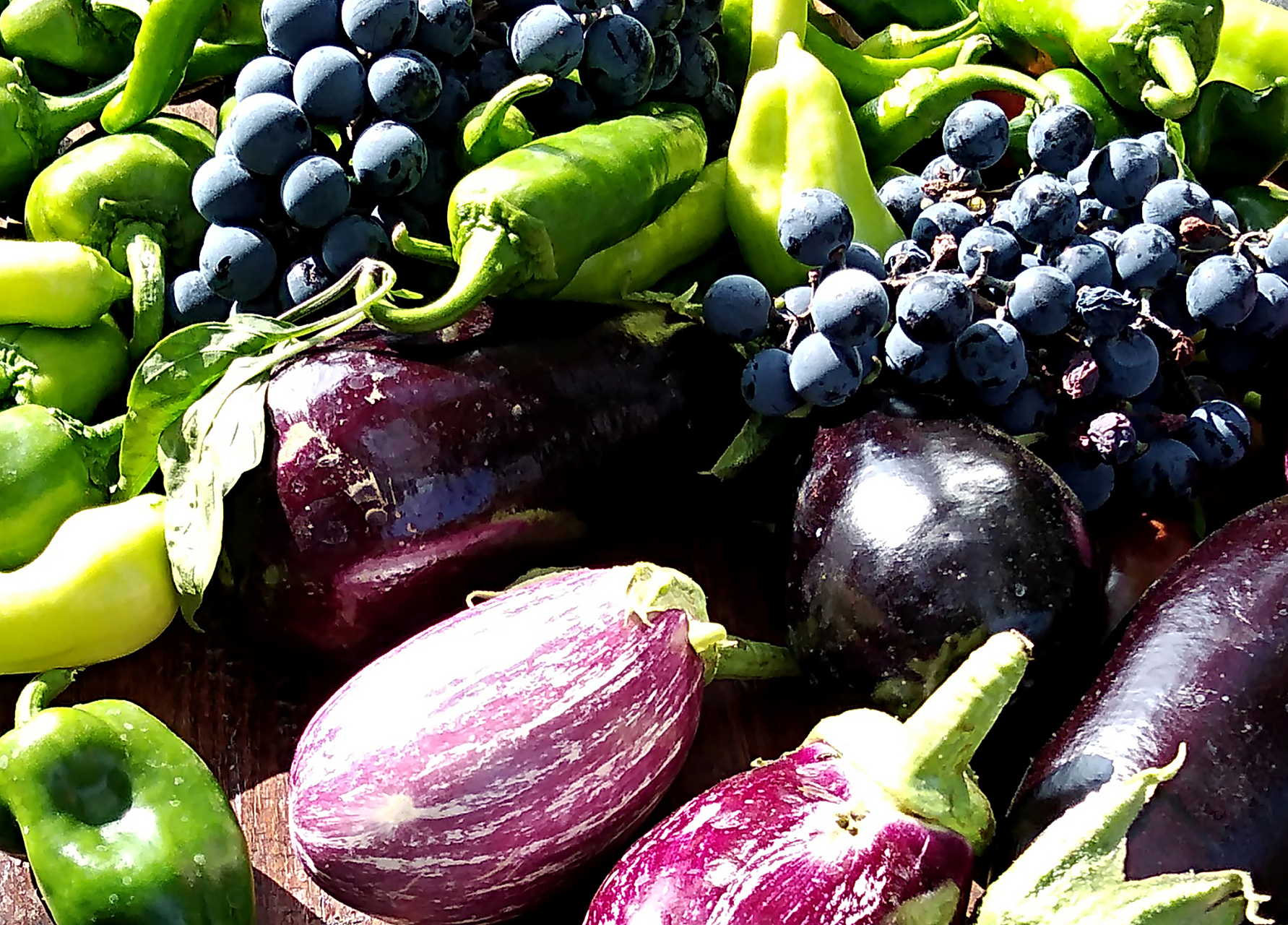 低嘌呤饮食有哪些	 紫色的蔬菜,如茄子,紫甘蓝,南瓜,红薯等,这些都是