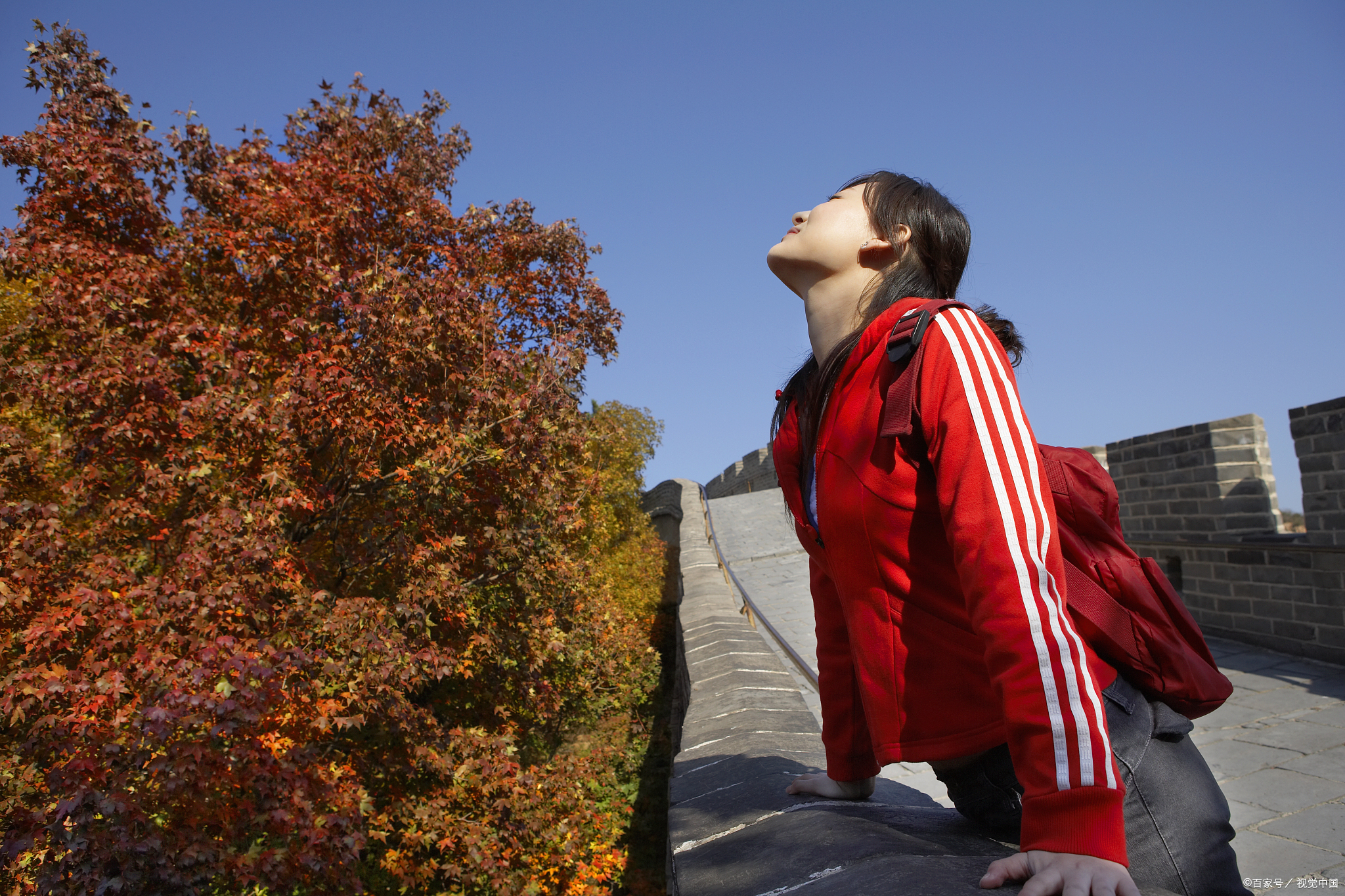 "空心病"的解法:比昂的网格图,从概念到观念,到感受