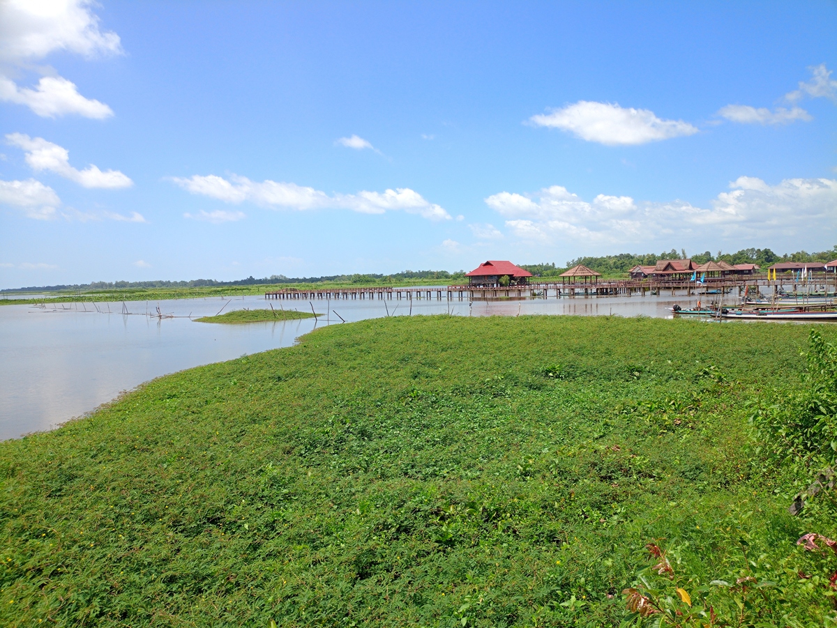是一个集森林,海滩,湿地于一体的国家aaaa级旅游景区,被誉为"东方