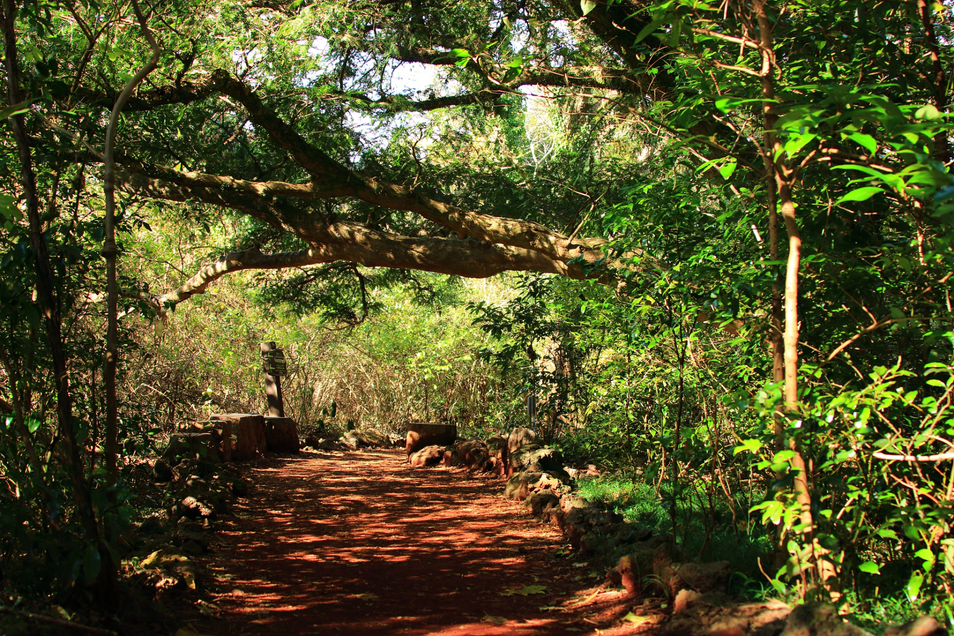 九月动态激励计划# 中国"普洱景迈山古茶林文化景观"申遗项目17日在