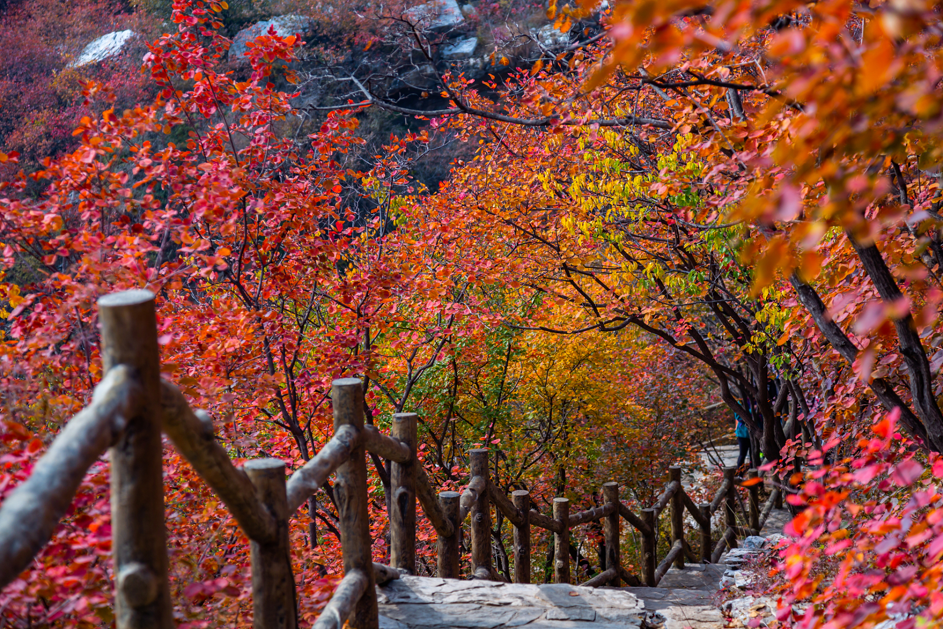 潍坊石门坊风景区图片