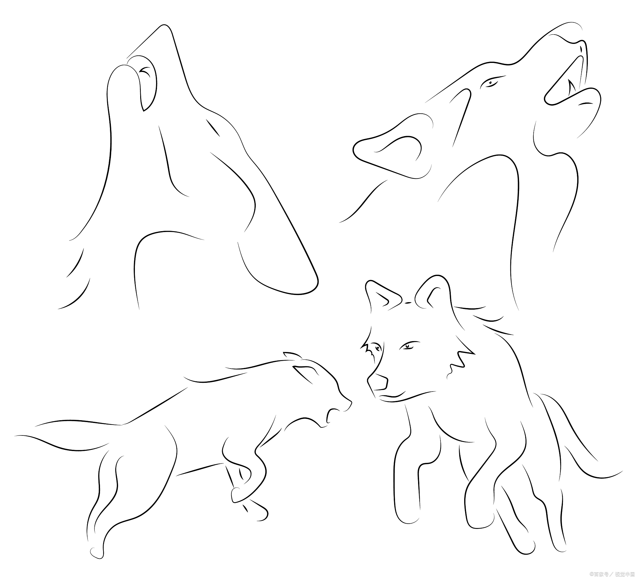 嘿,小伙伴!想要学会画狼的简笔画吗?