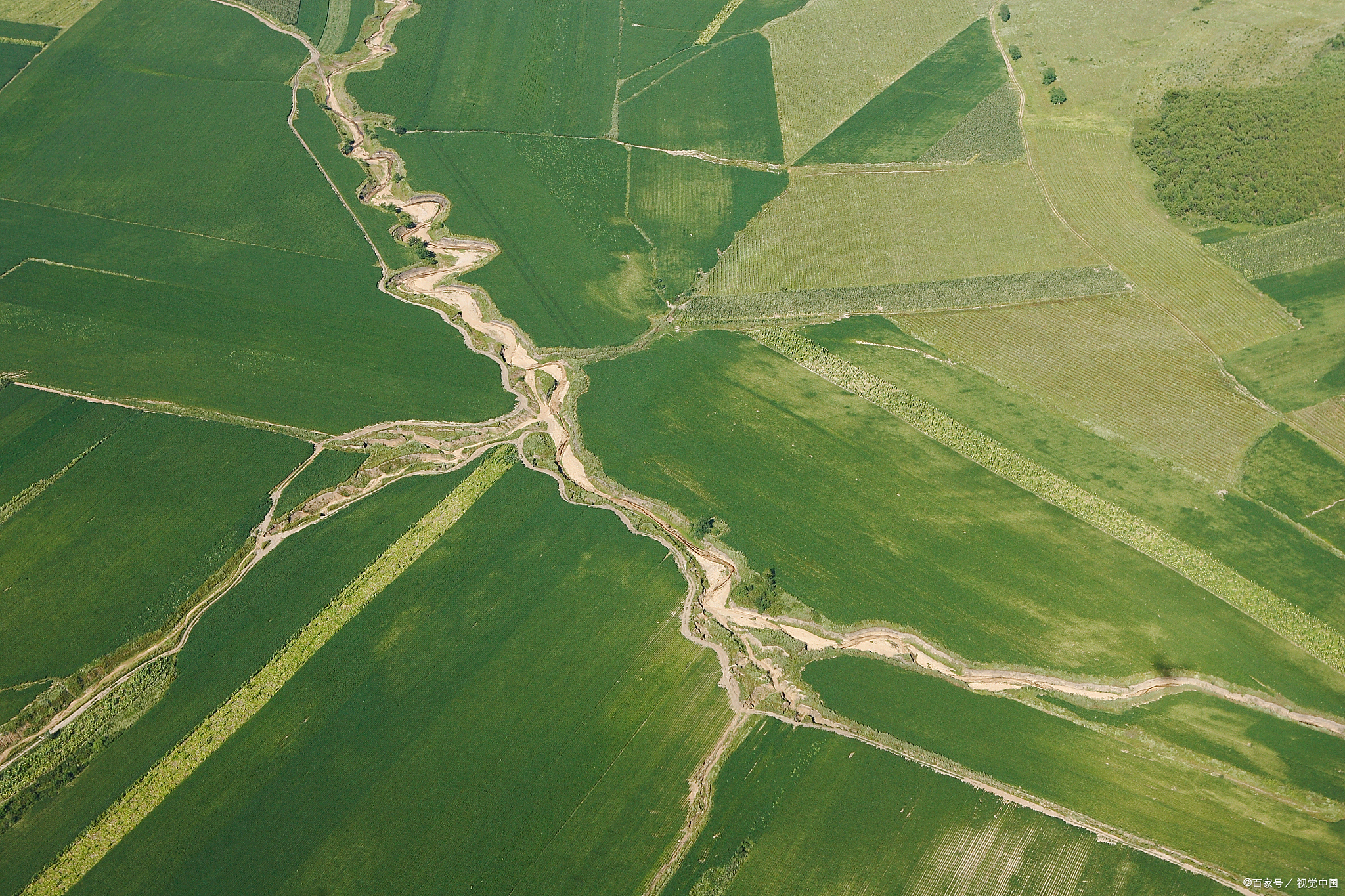 认知决定判断,判断决定成败