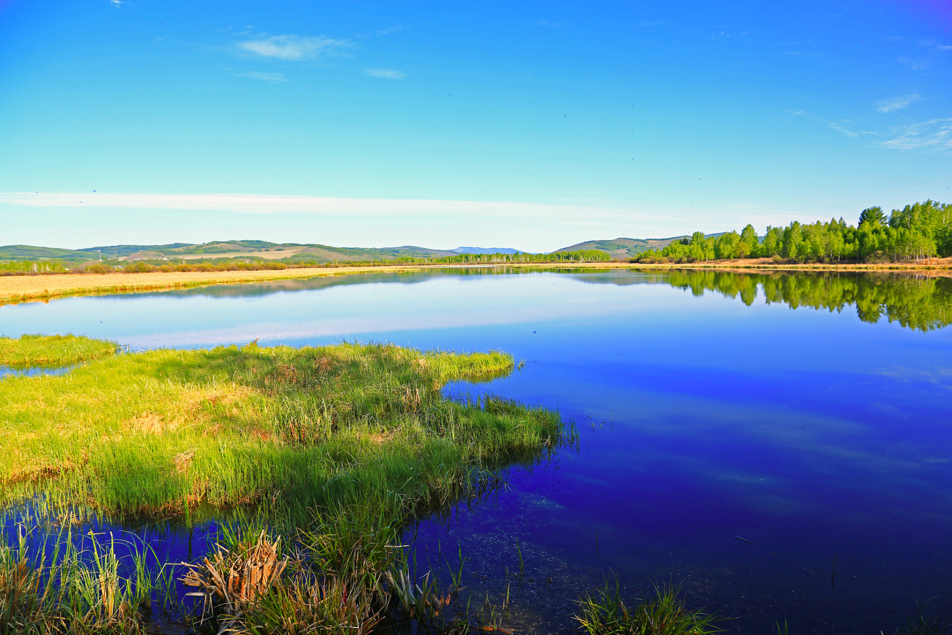 新疆伊犁河揭秘:壮丽画卷下的生态宝藏,多元价值等你发现!
