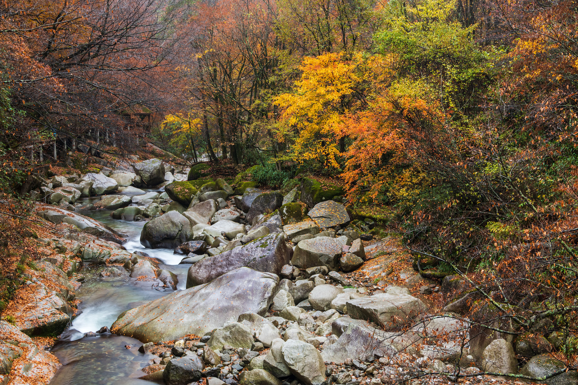 四川风景图片大全图片