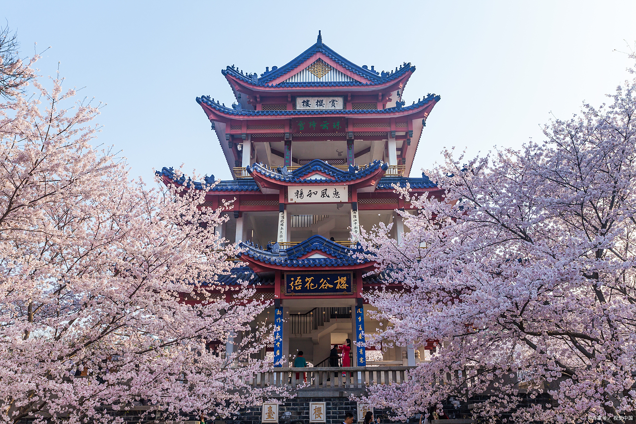 望湖楼作为杭州的一大景点,一直以来备受关注.