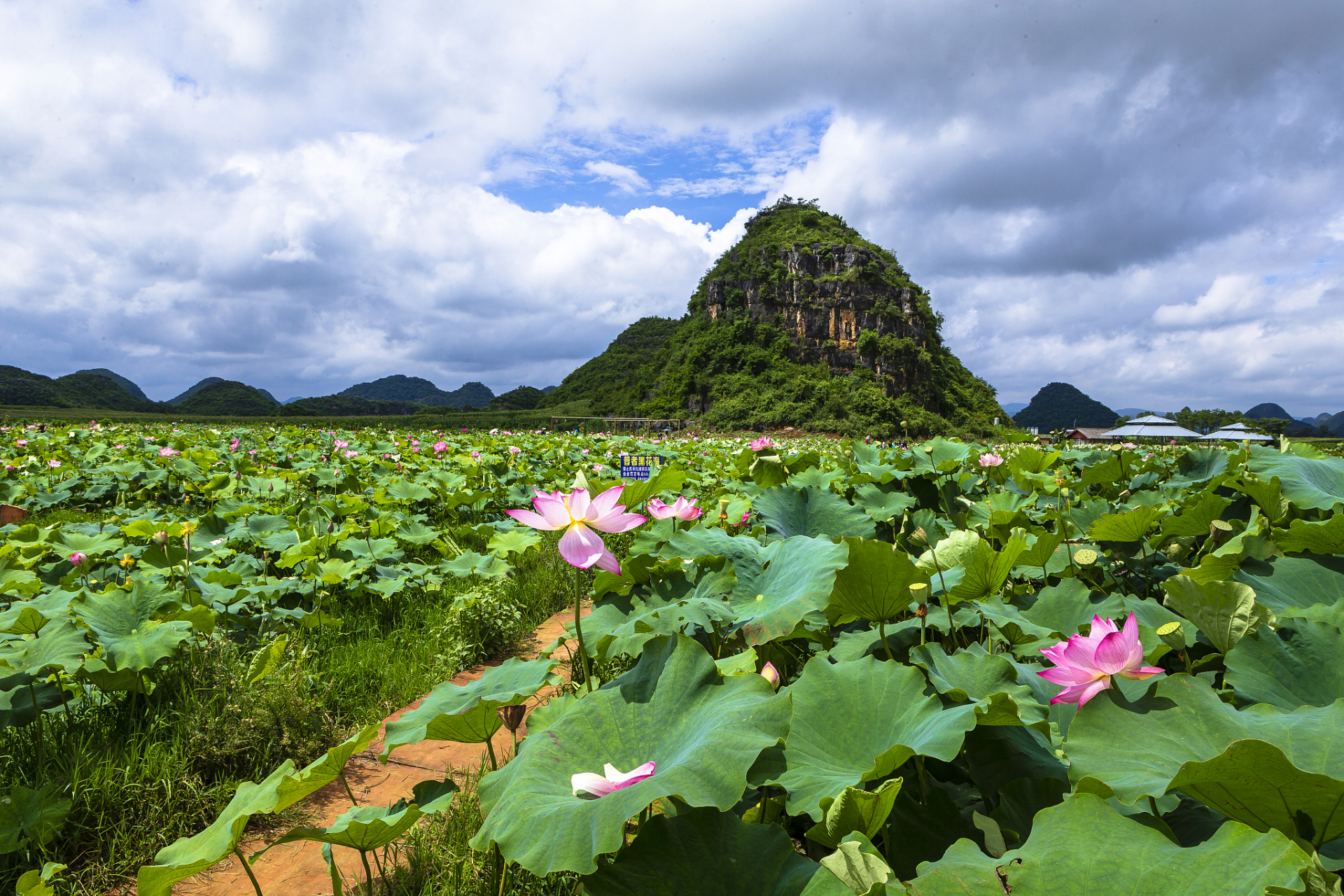 安顺十里荷廊风景区是一个集自然风光,游玩项目,休闲娱乐为一体的综合