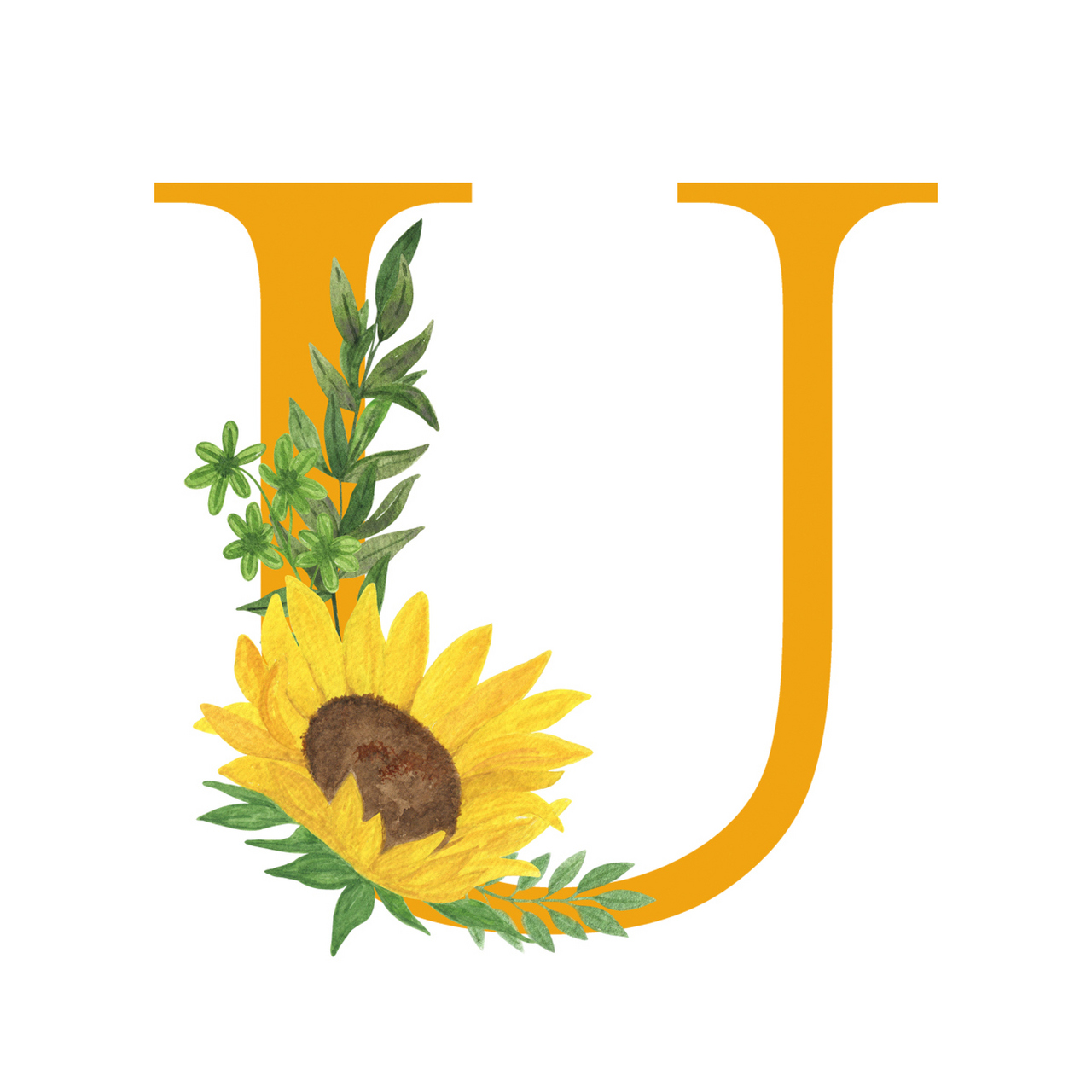 零基础英语语音学习[鲜花]u字母组合发音 1,ur  有2种读音:  ① 在