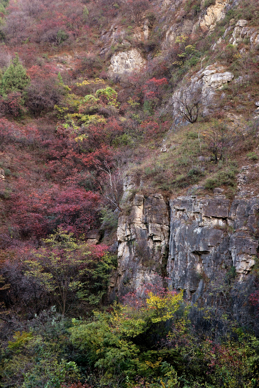99 陕西·铜川  照金香山,一处集红色历史与自然美景于一体的旅游