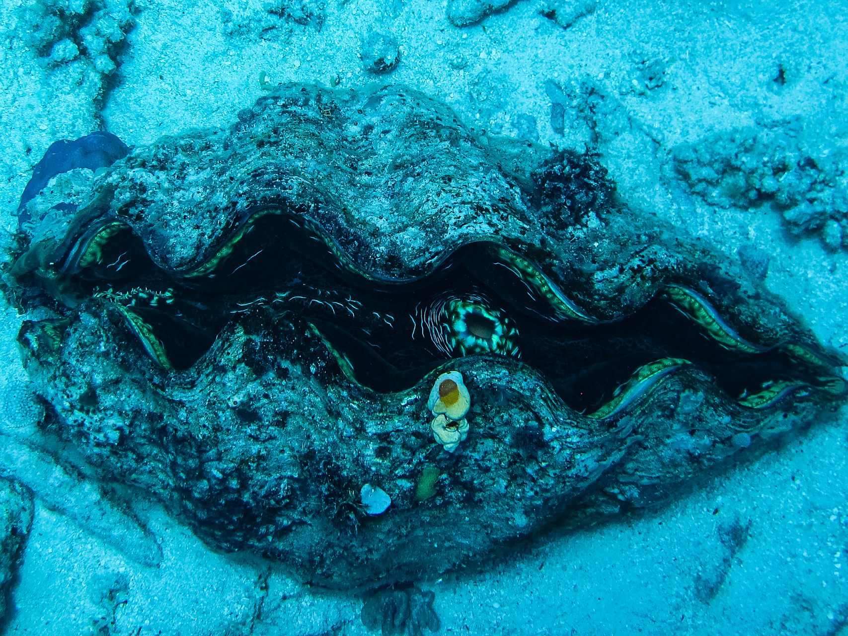 拉斯卡兹海洋深渊是地球上最深的海底地区之一,深度超过了11公里.