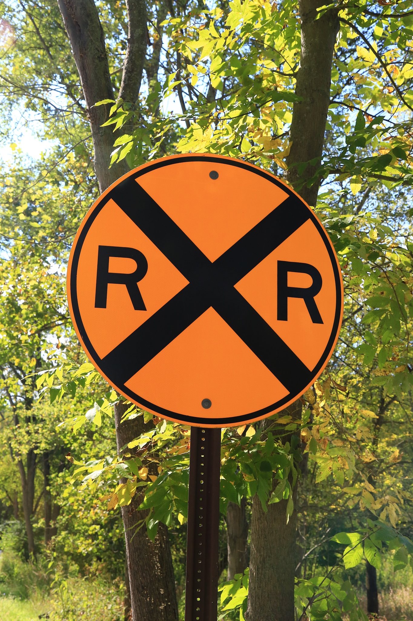 这两位20几岁的中国姑娘,怎么会把火车和栅栏的界限搞错呢?