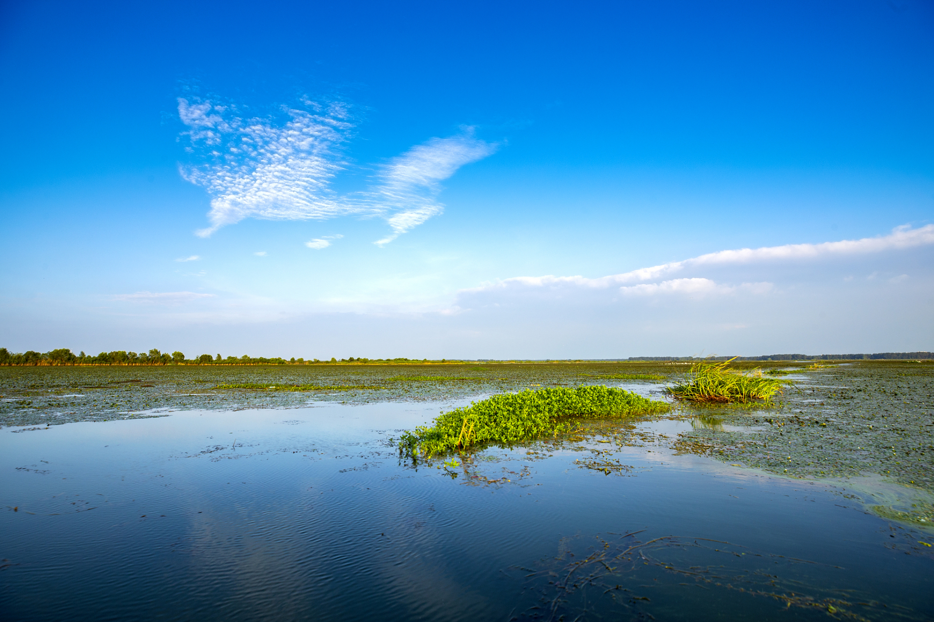 江苏洪泽湖湿地,一个集观光旅游,生态休闲,科普教育于一体的国家5a级