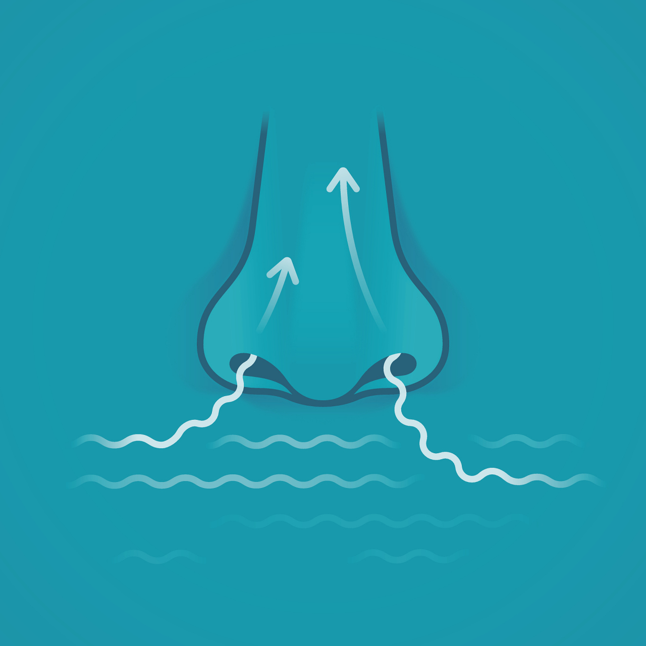 用鼻子呼吸:鼻腔中有鼻毛以及鼻腔黏膜,鼻毛可以过滤吸入的空气,避免