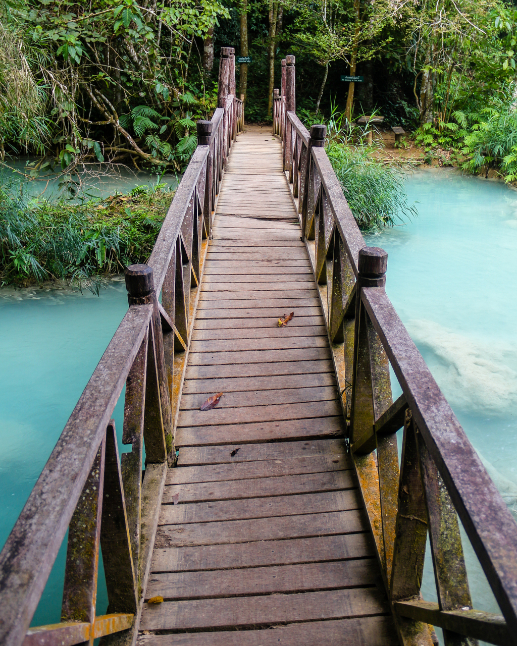 高考实实在在给我们带来了什么? 高考是人生成功的唯一一条路吗?