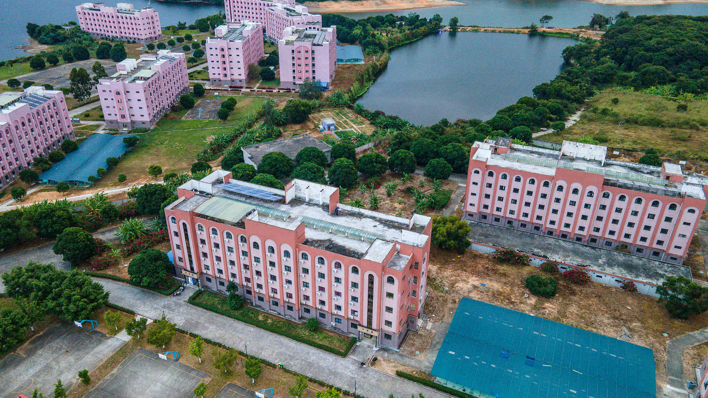 大学生校内骑自行车被处分,近日在福建泉州仰恩大学,一学生因在校内骑