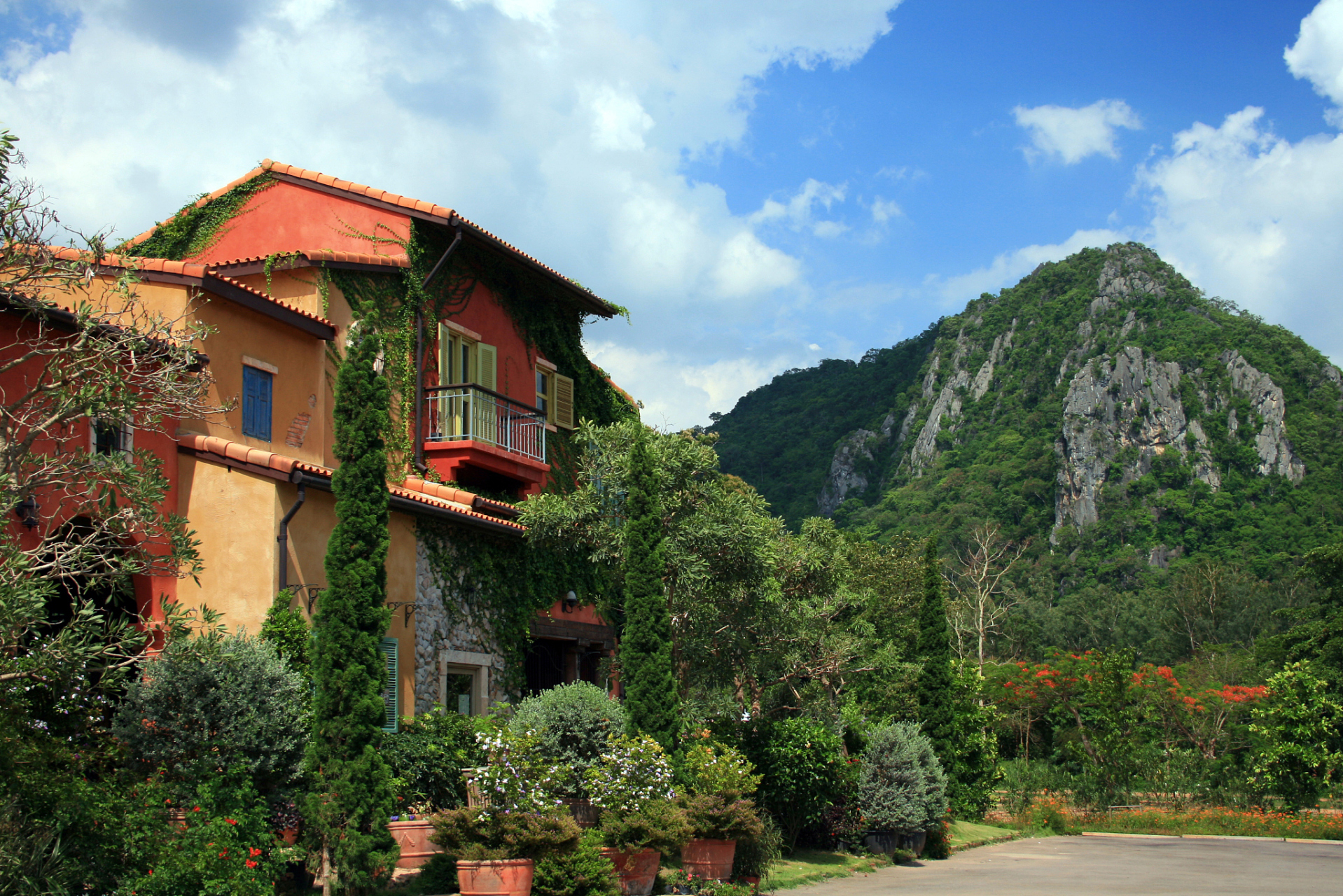 三月是万物萌发的季节,绿色的律动诠释着生命的意义,美丽的高桥小镇