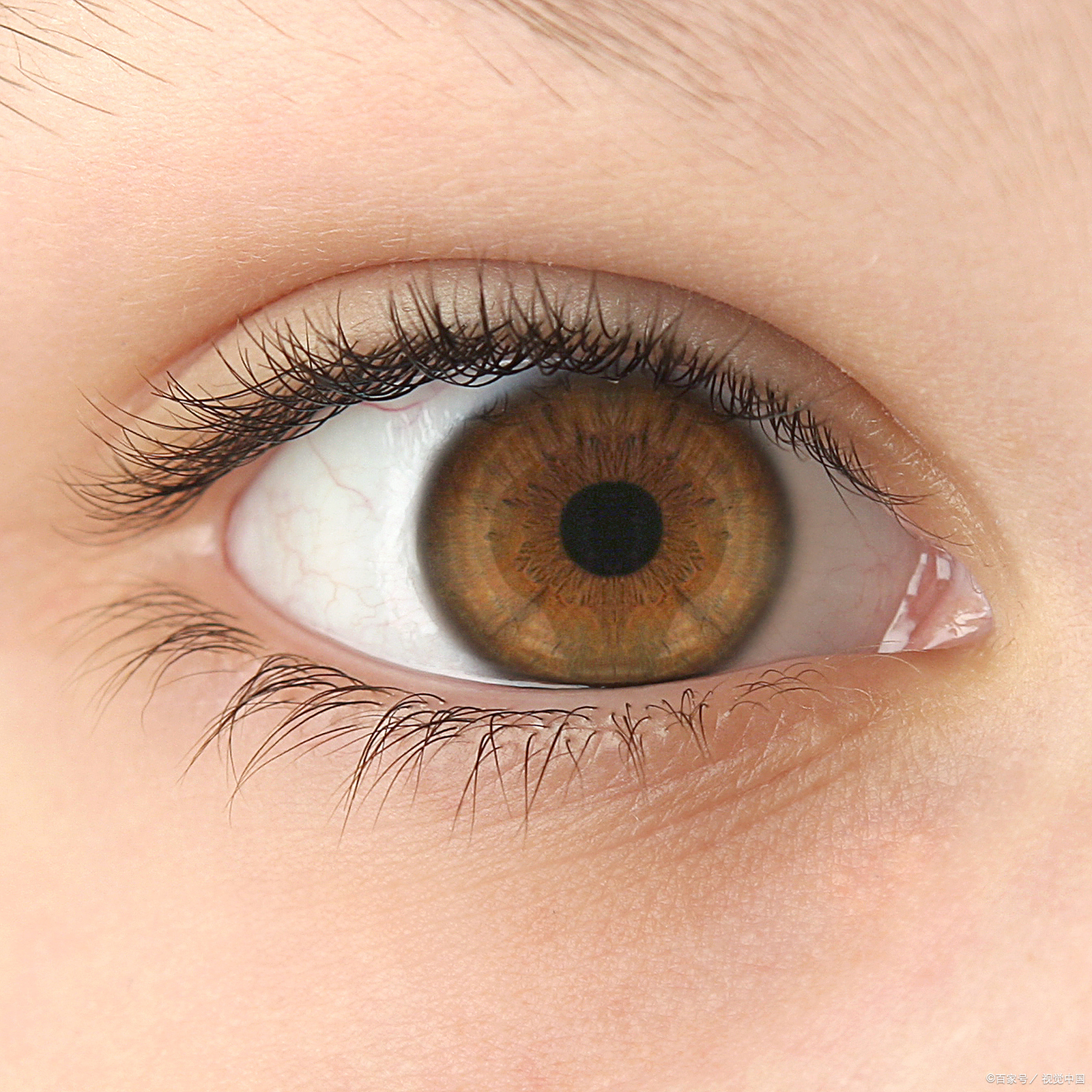 经常转动眼球对眼睛有什么好处?