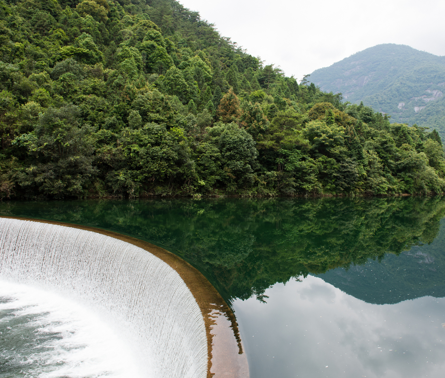 浙江富春江国家森林公园,位于美丽的浙江建德,海拔500米,是中亚热带