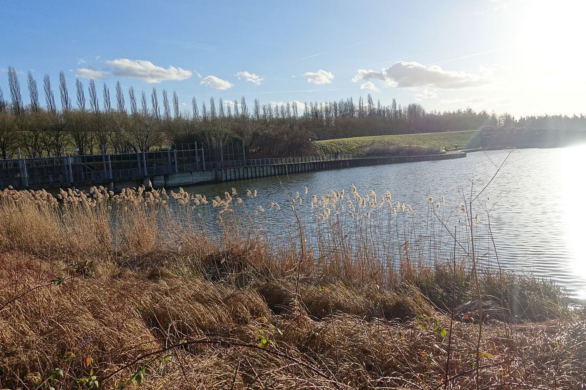 9890河北曹妃甸湿地公园,一个隐藏在北方的"海滨仙境"!