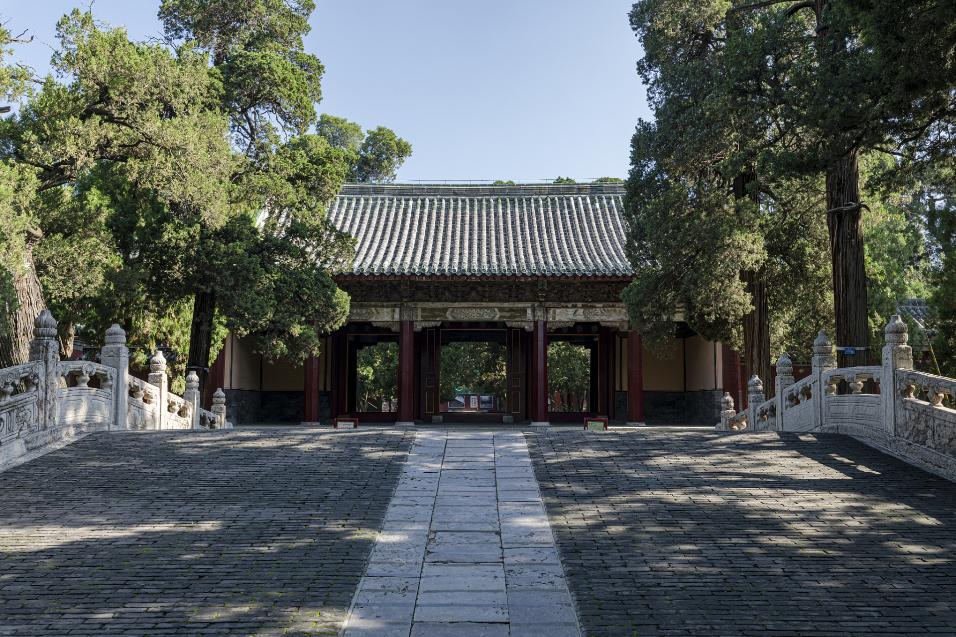 山东曲阜孔府后花园有一处奇异的景观——"五柏抱槐".