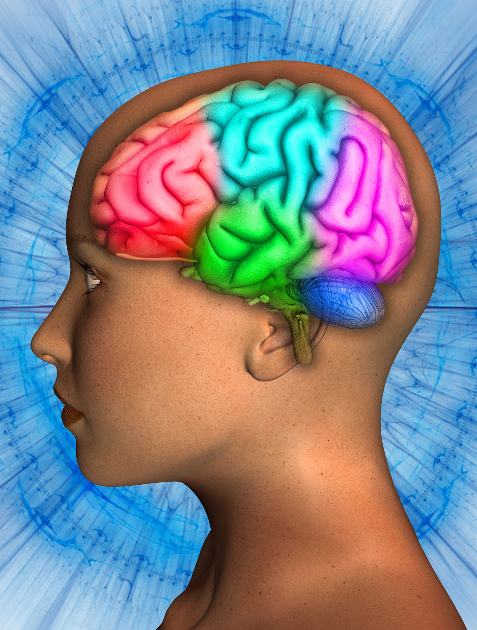 具体分析如下:  癫痫是一种大脑神经元异常放电从而