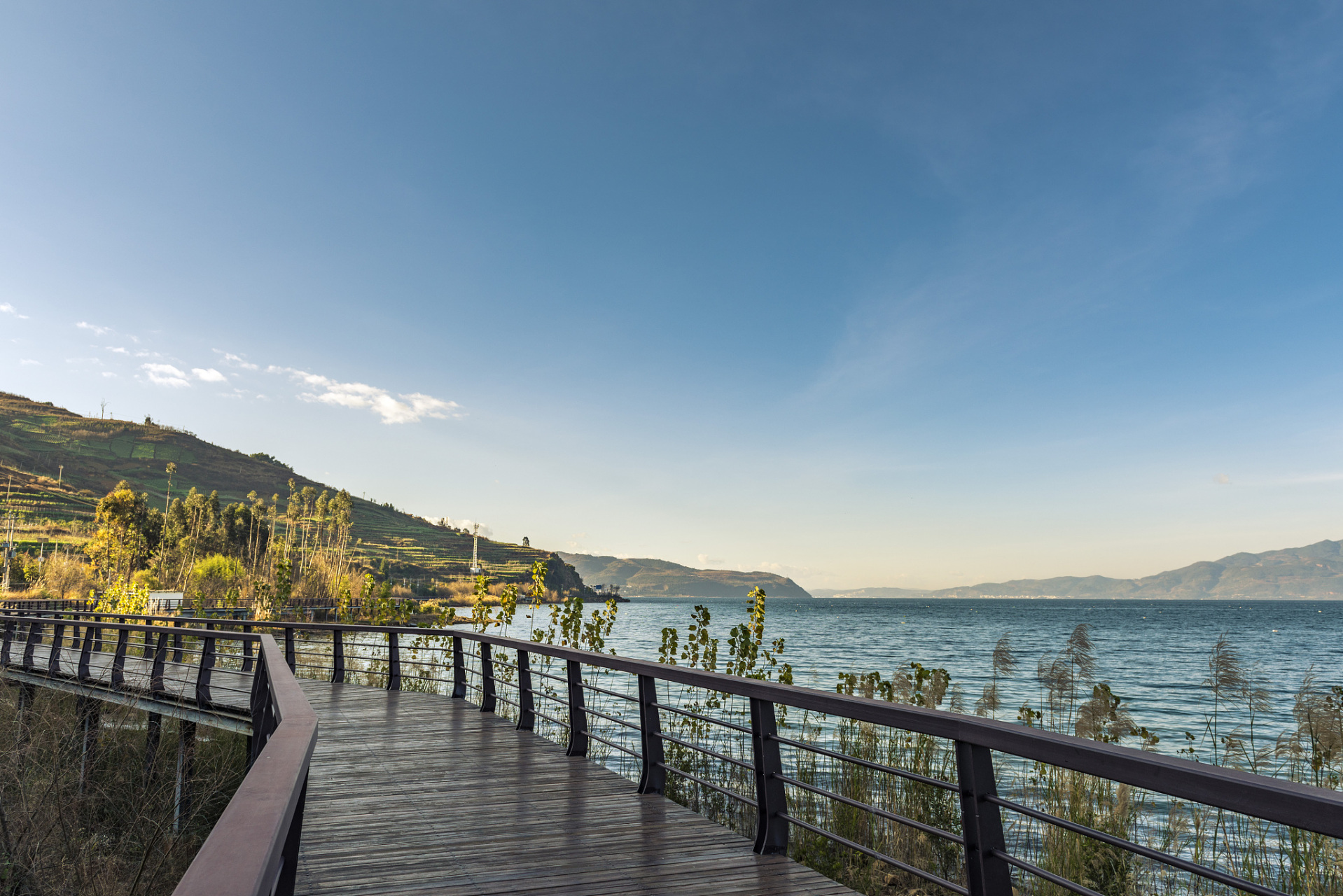 奔赴春天的旅行#踏春站在观景台上,我俯瞰了整个瑞丽江的美景.