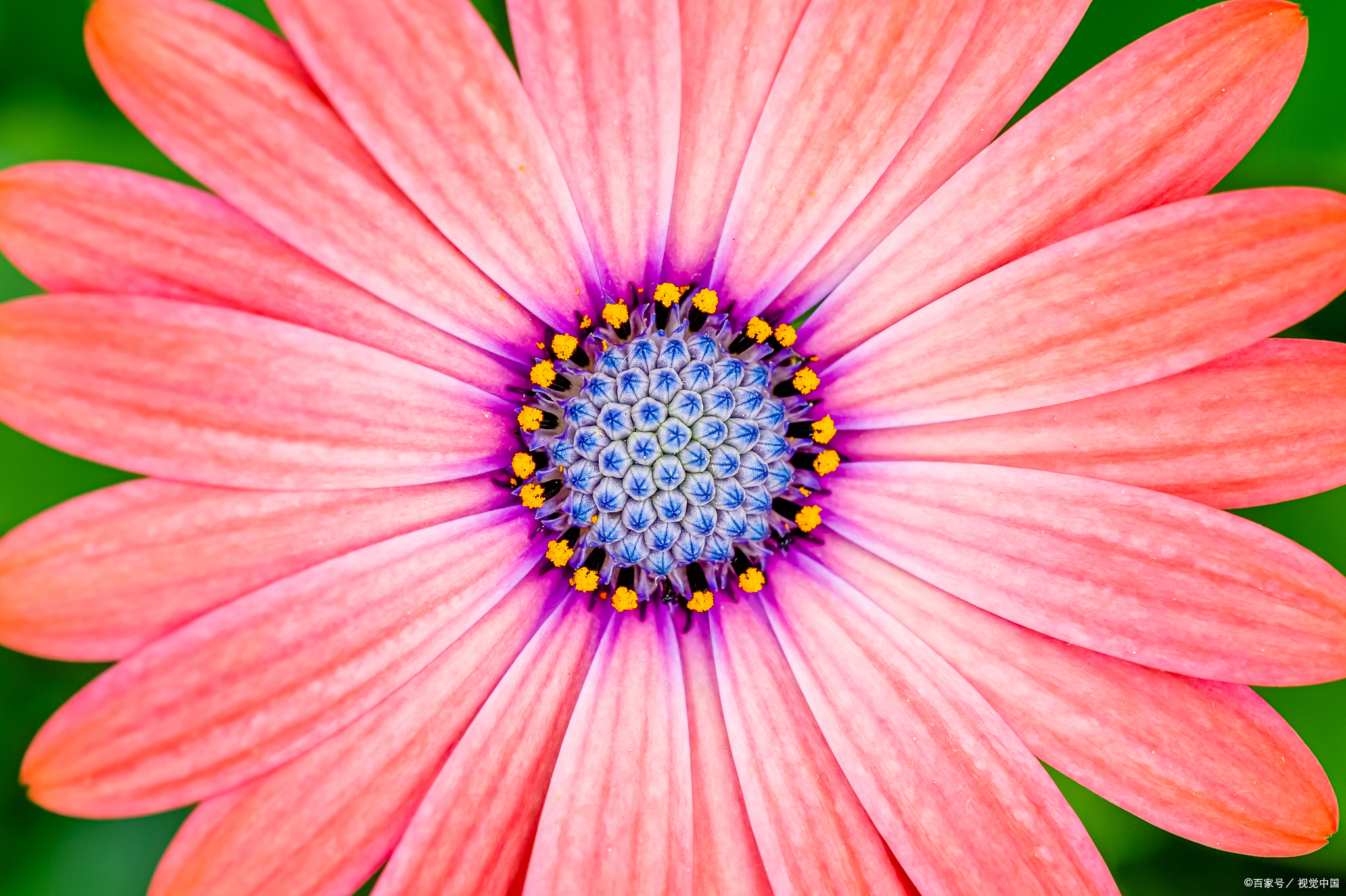 高情商聊天术:自己缺钱用,15句幽默向公婆要钱的话术