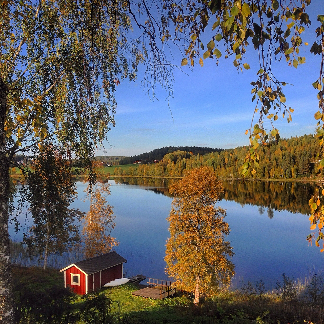 伊春市位于黑龙江省东北部,以汤旺河支流伊春河得名.