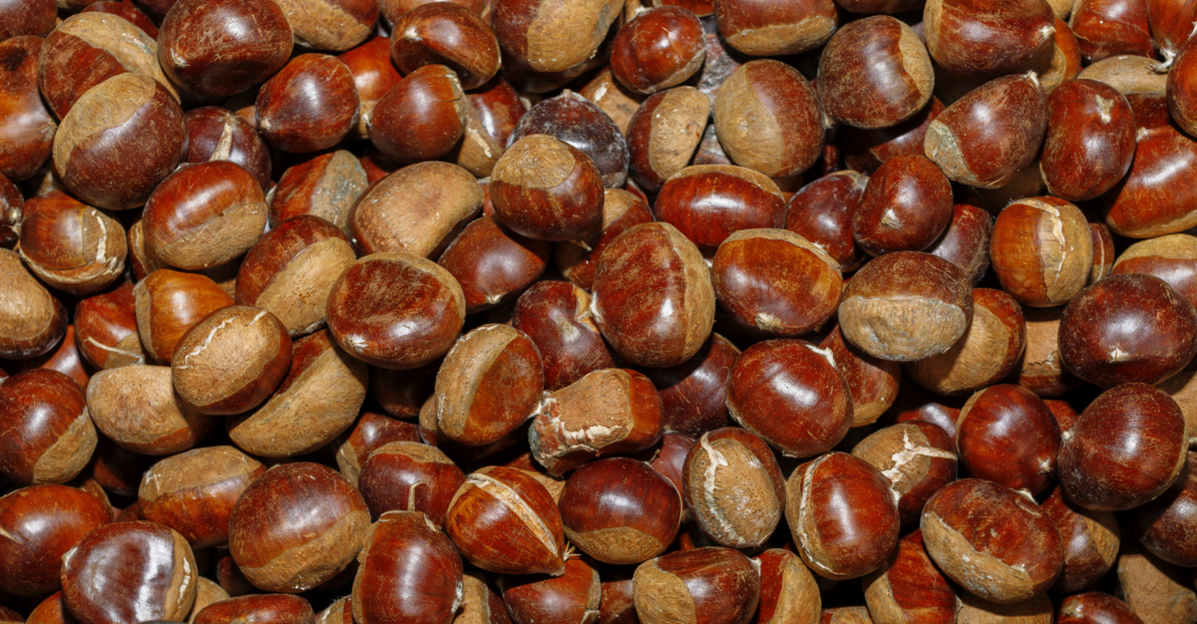 在寒冷的冬季,板栗炖鸡成为温暖的风景,为人们驱散严寒.