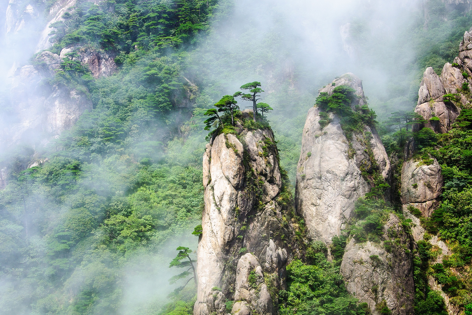 三百山风景名胜区图片