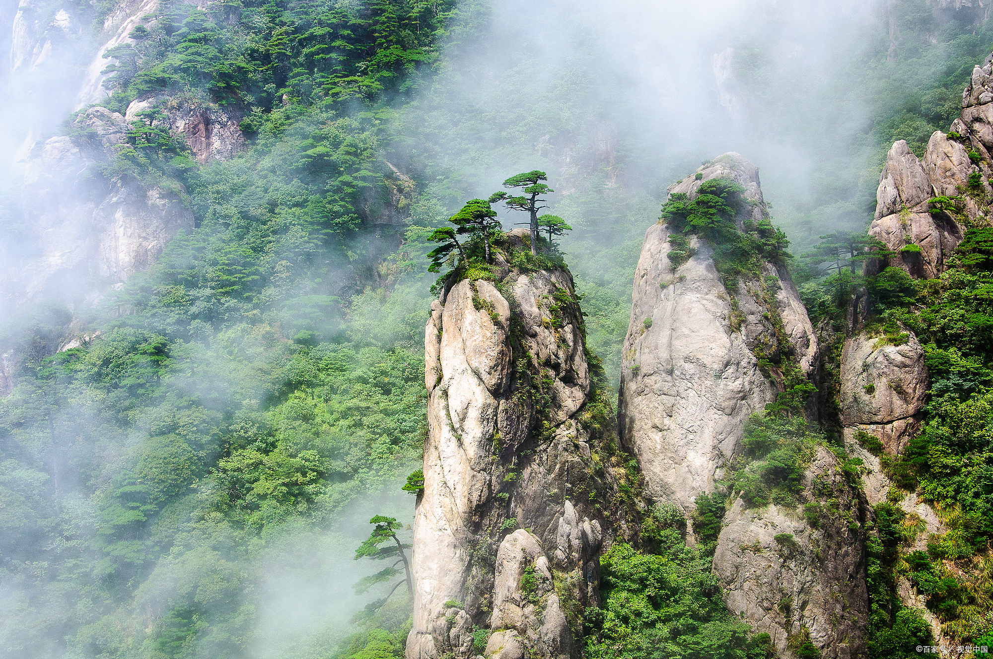 三百山,位于江西省安远县境内,是国家级风景名胜区,也是全国著名的