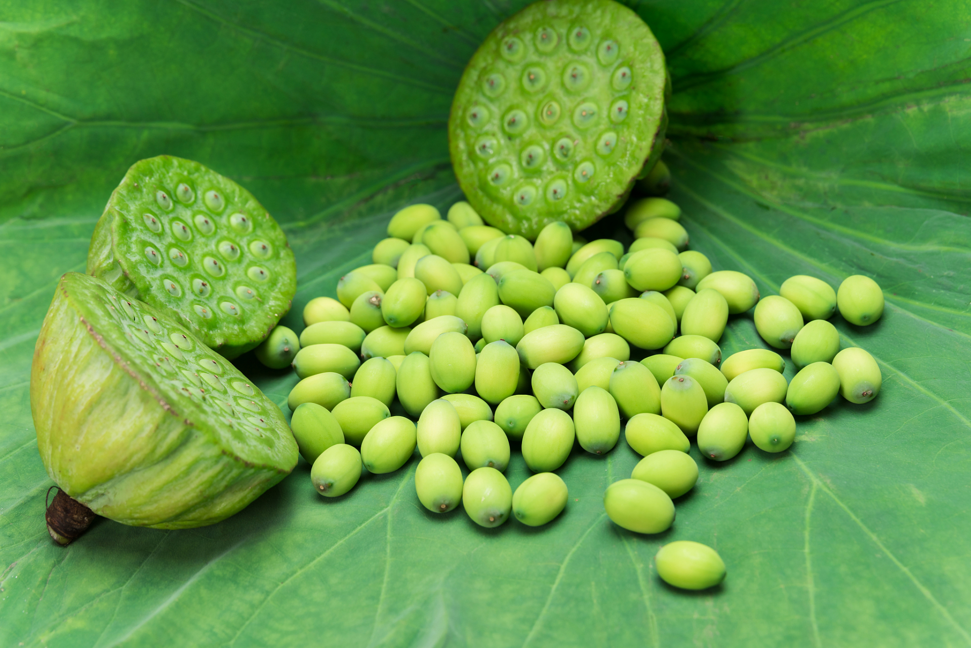 莲子心的功效与作用 清心安神,交通心肾,涩精止血.