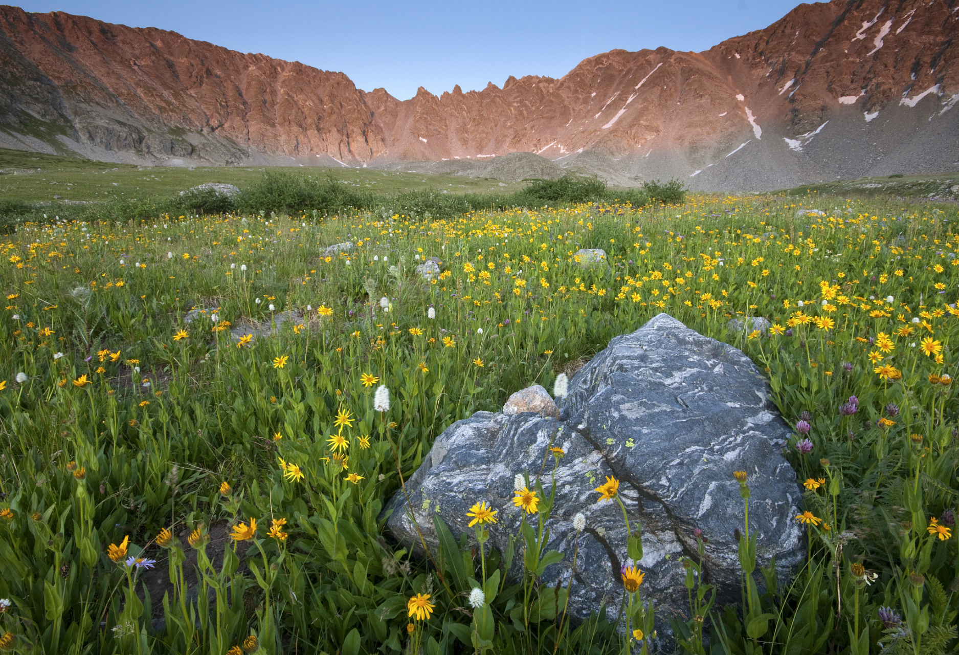 奇遇那拉提#新疆那拉提雪莲谷景点位于新疆南疆地区,是一处以高山