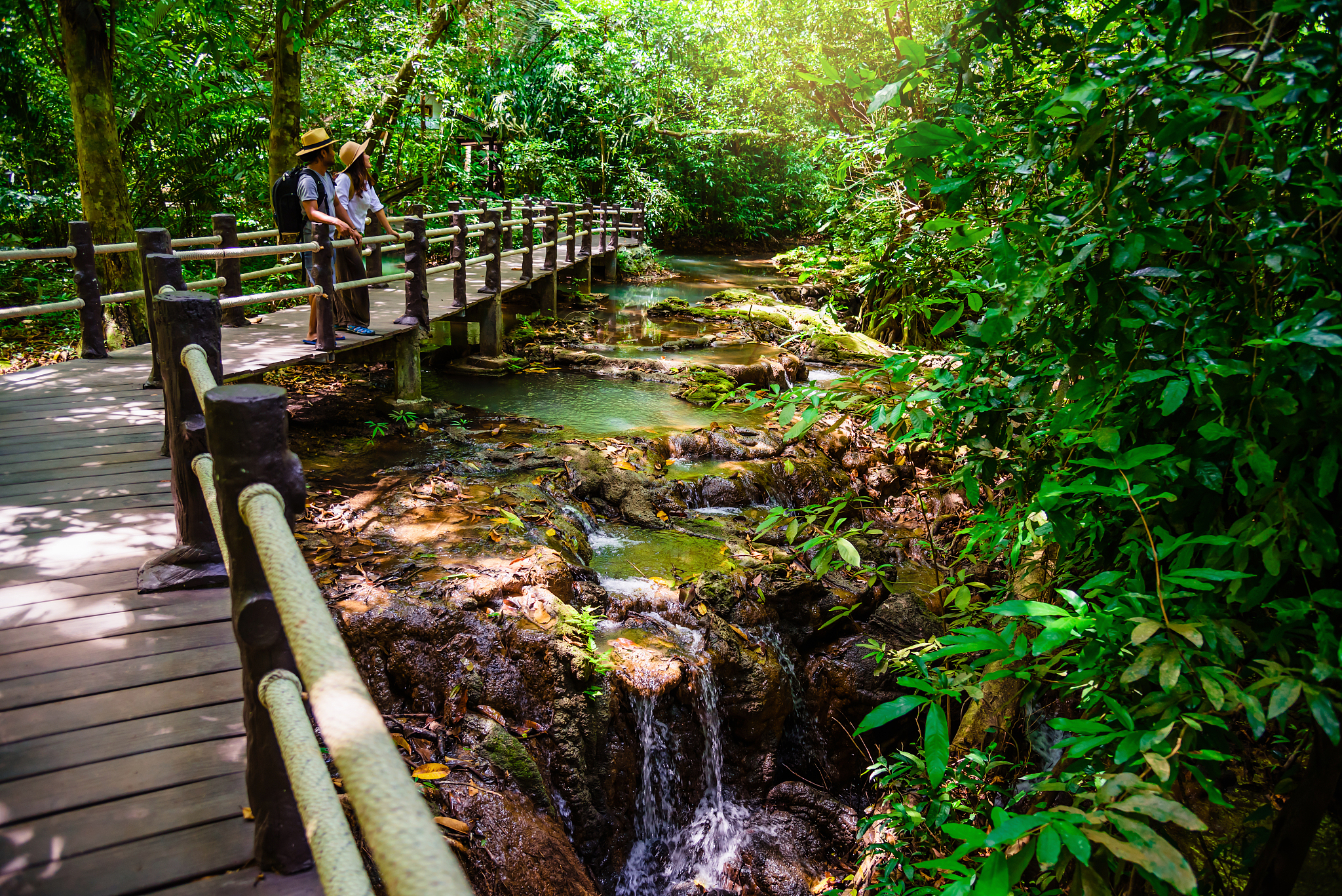 河北廊坊永清林栖谷,森林氧吧,避暑是否适宜?